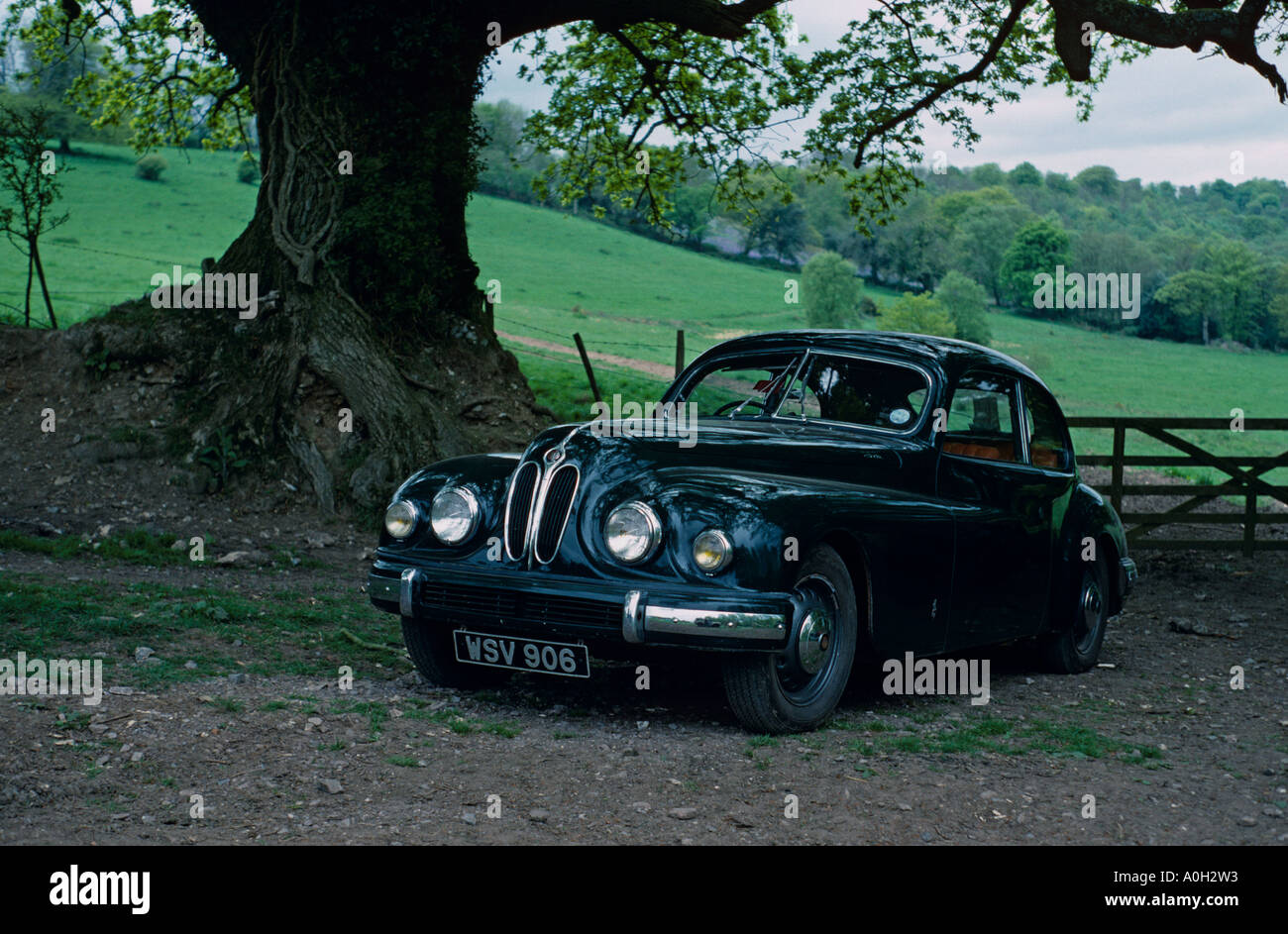 Bristol 401. 1948 à 1953 Banque D'Images