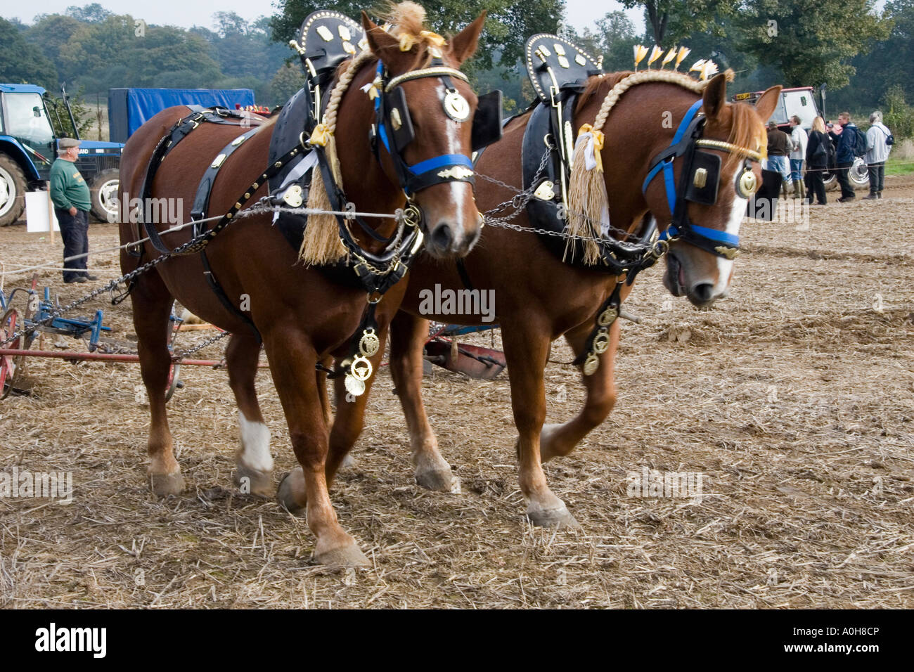 Cannes Airshow 2006, Loseley Park, Surrey Banque D'Images
