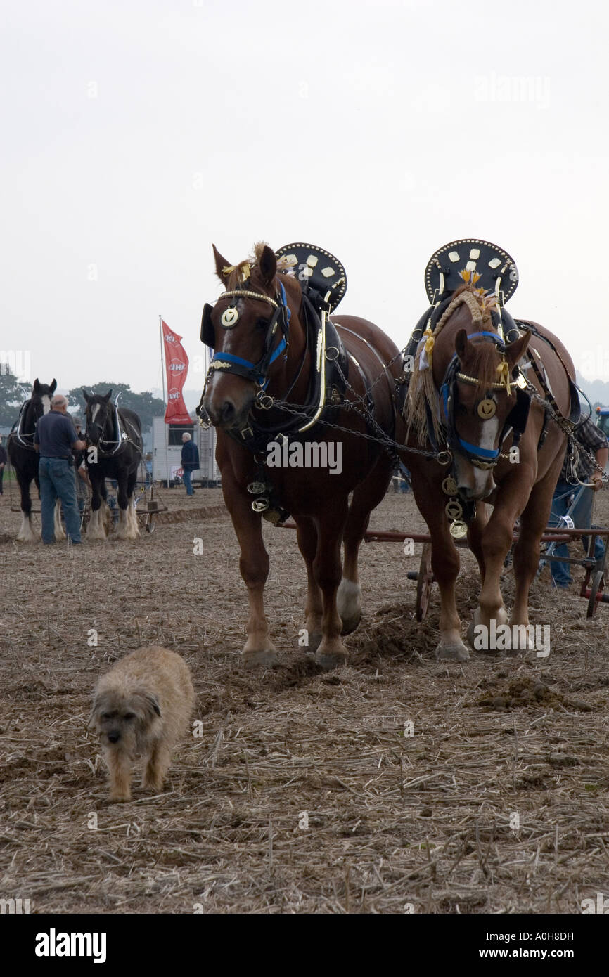 Cannes Airshow 2006, Loseley Park, Surrey Banque D'Images
