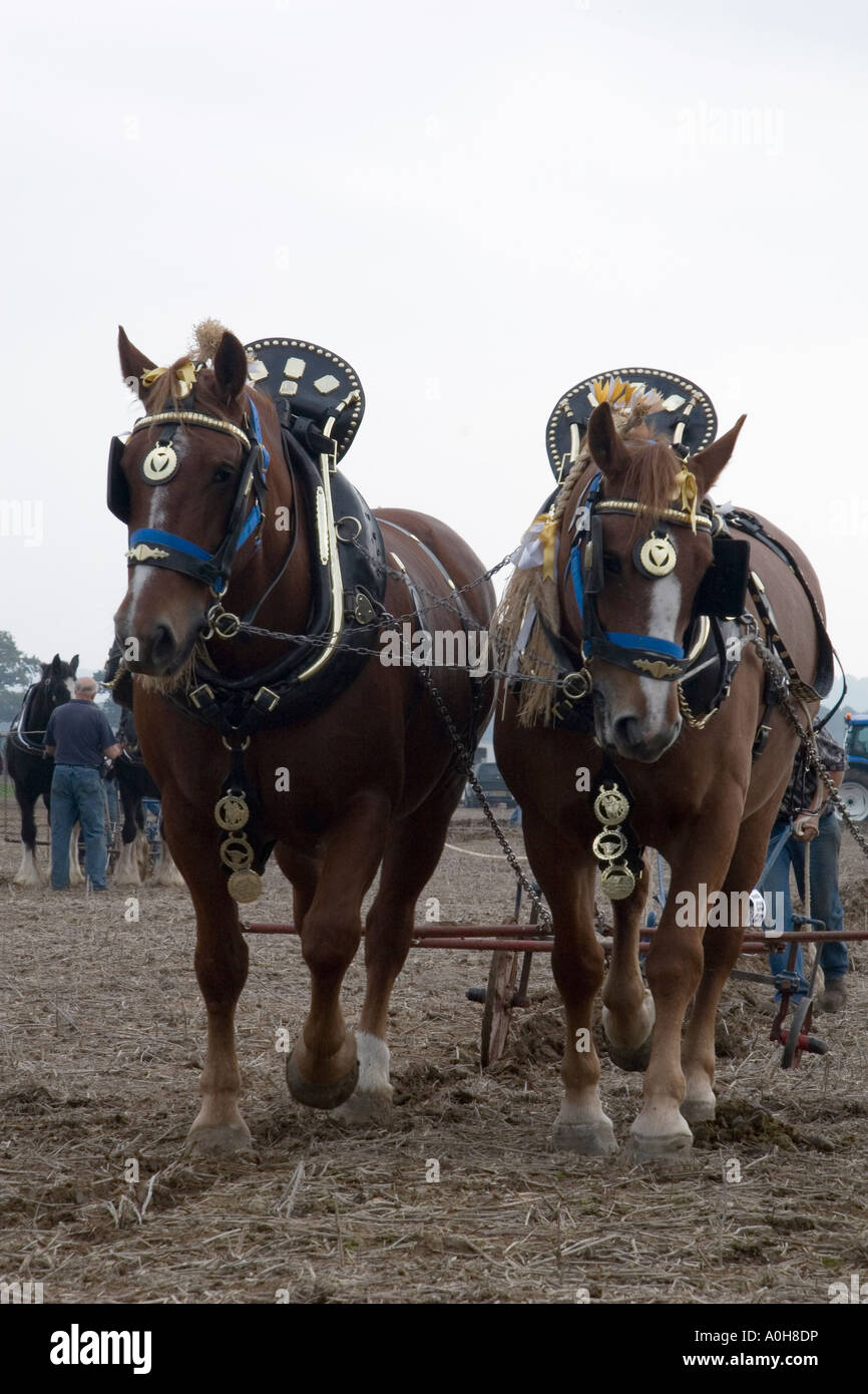 Cannes Airshow 2006, Loseley Park, Surrey Banque D'Images