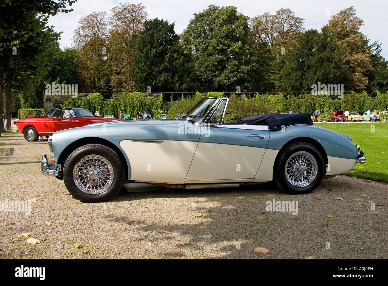 Austin Healey 3000 MK III, construit 1967 Banque D'Images