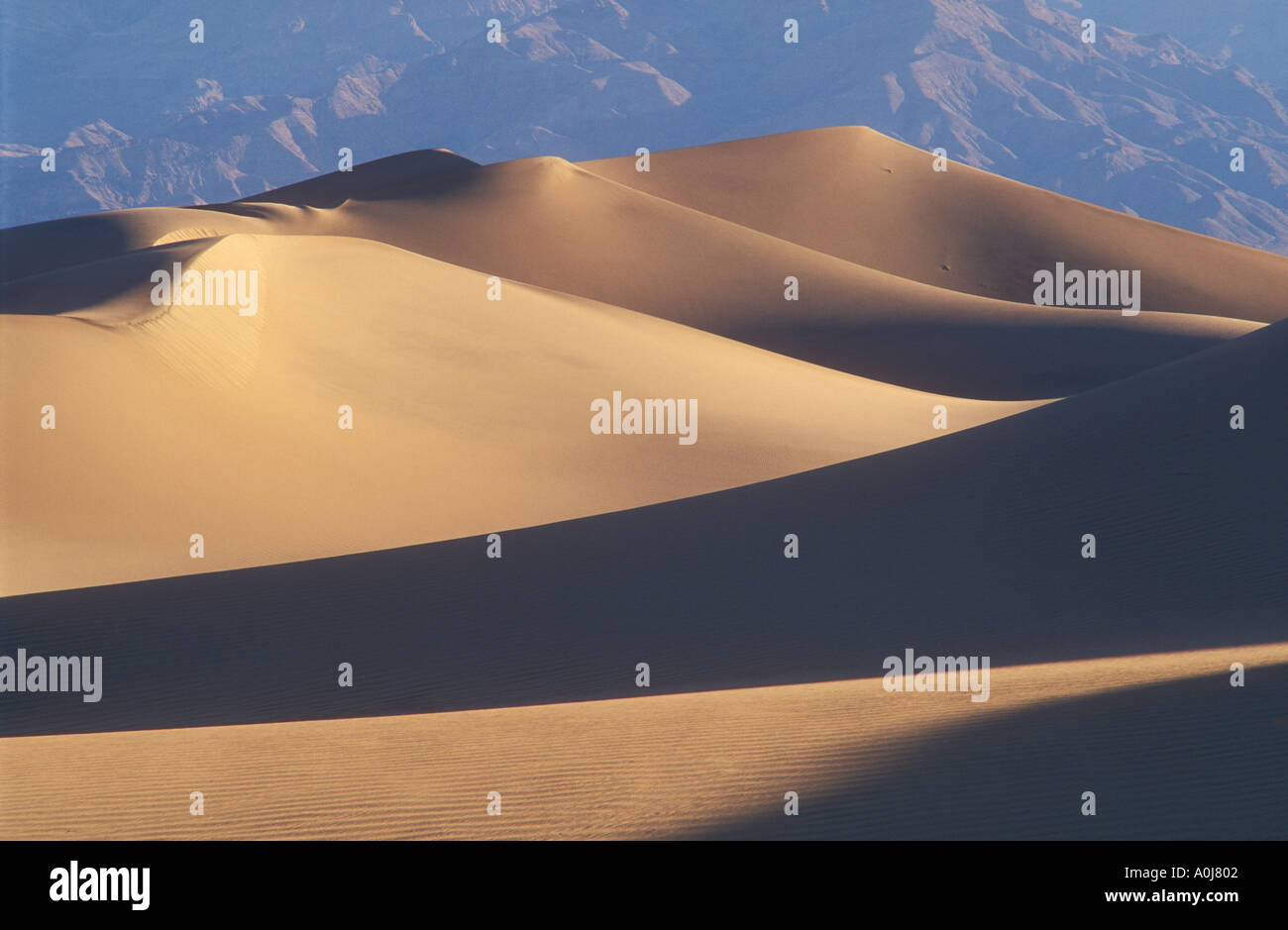 Télévision mesquite sand dunes Death Valley National Park Californie usa Banque D'Images