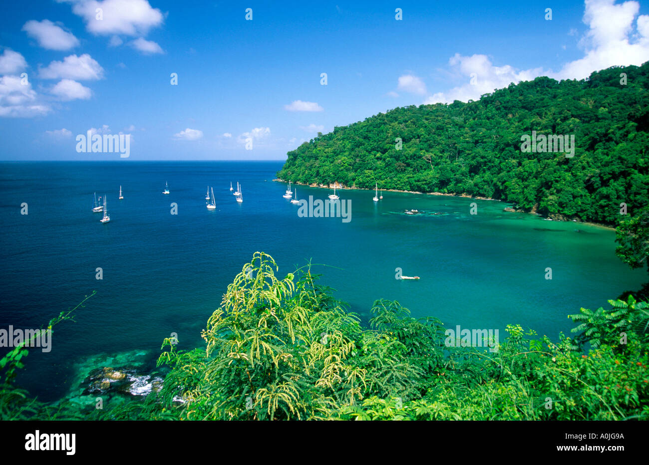 Tobago Charlotteville Pirat s bay bateaux à voile Banque D'Images