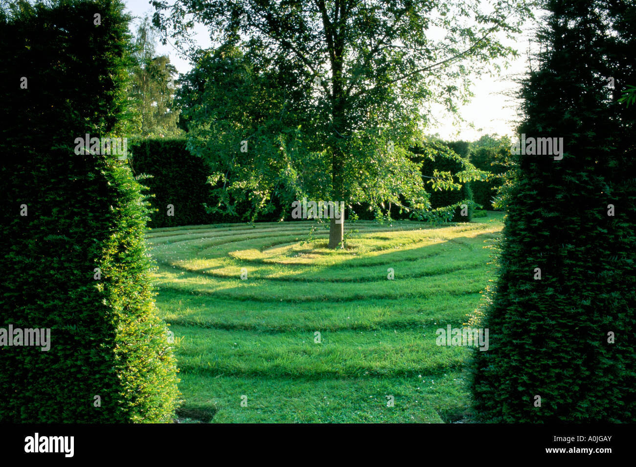The Dower House, Shropshire. Jardin historique. Turf labyrinthe fauché Banque D'Images