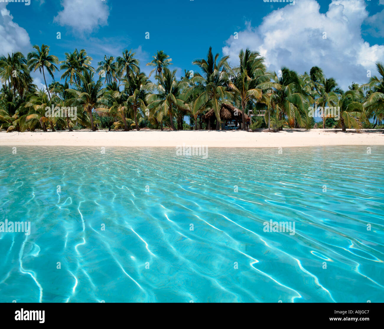 Pacifique Sud Îles Cook Aitutaki Lagoon Un pied Island dream beach cristal de l'eau claire Banque D'Images