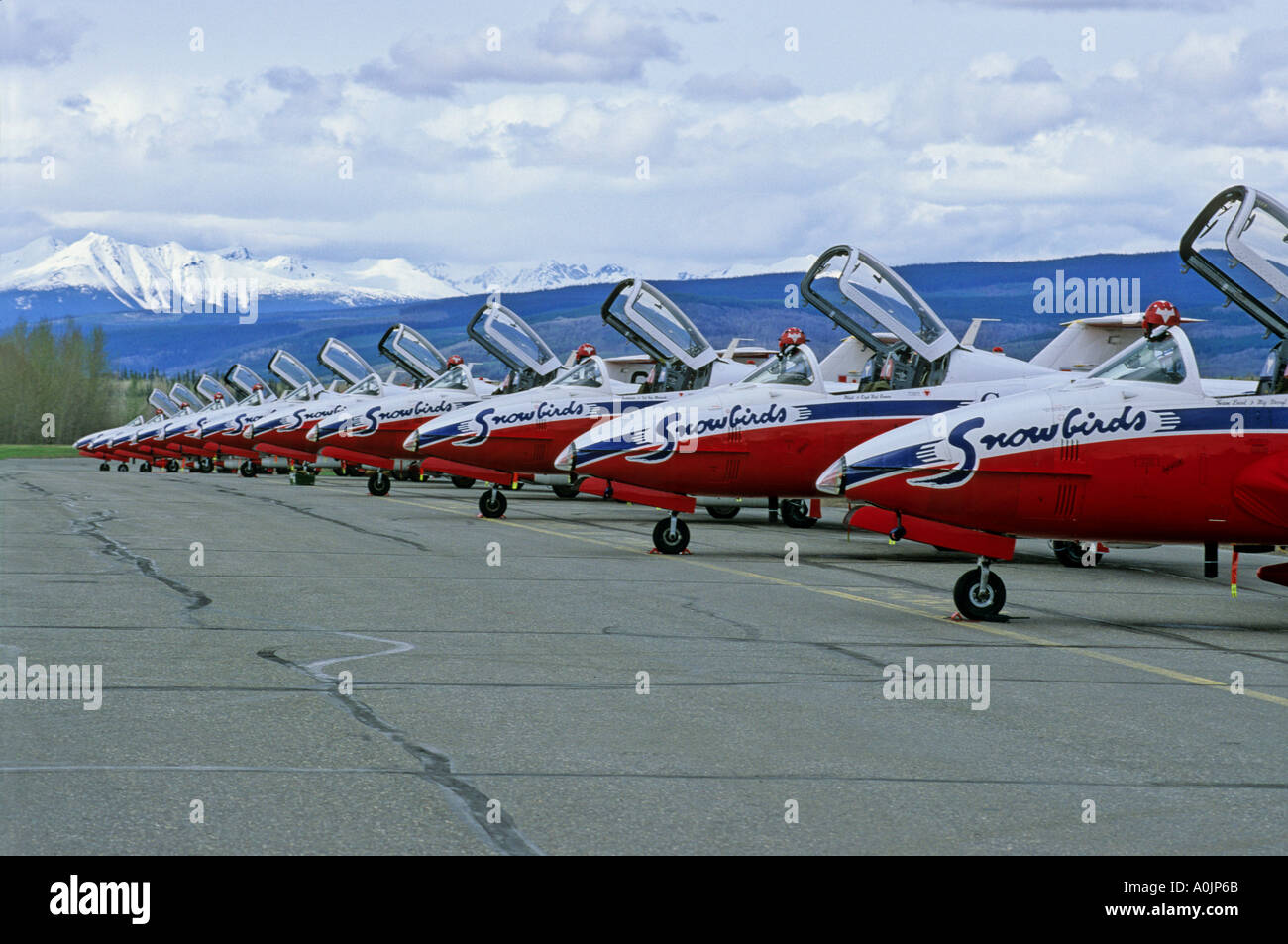 Snowbirds 10 Banque D'Images