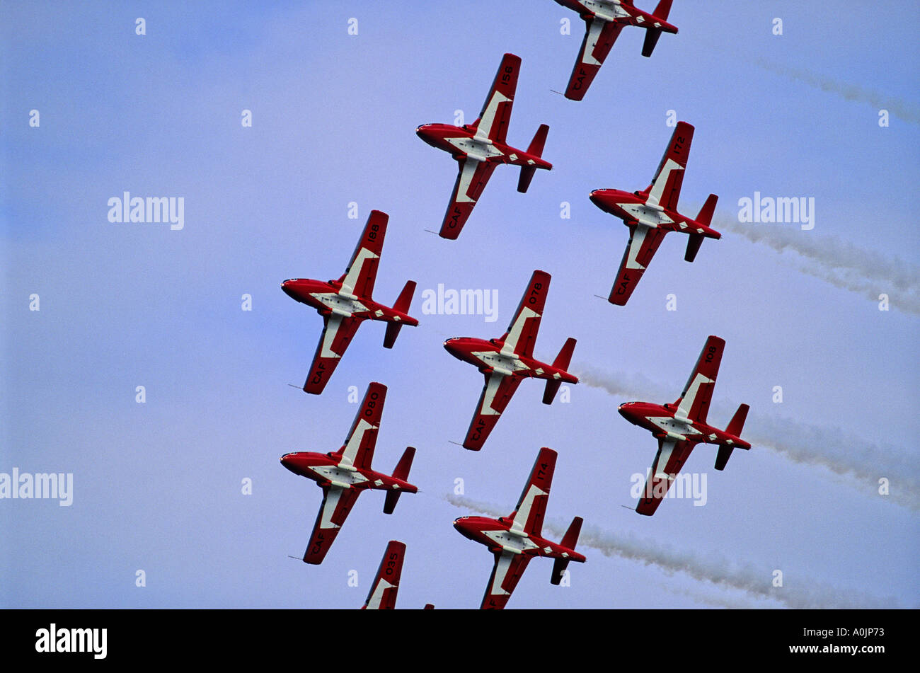 Snowbirds 4 Banque D'Images