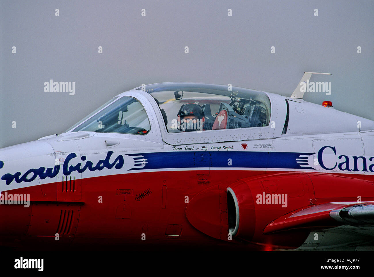 Snowbirds 5 Banque D'Images