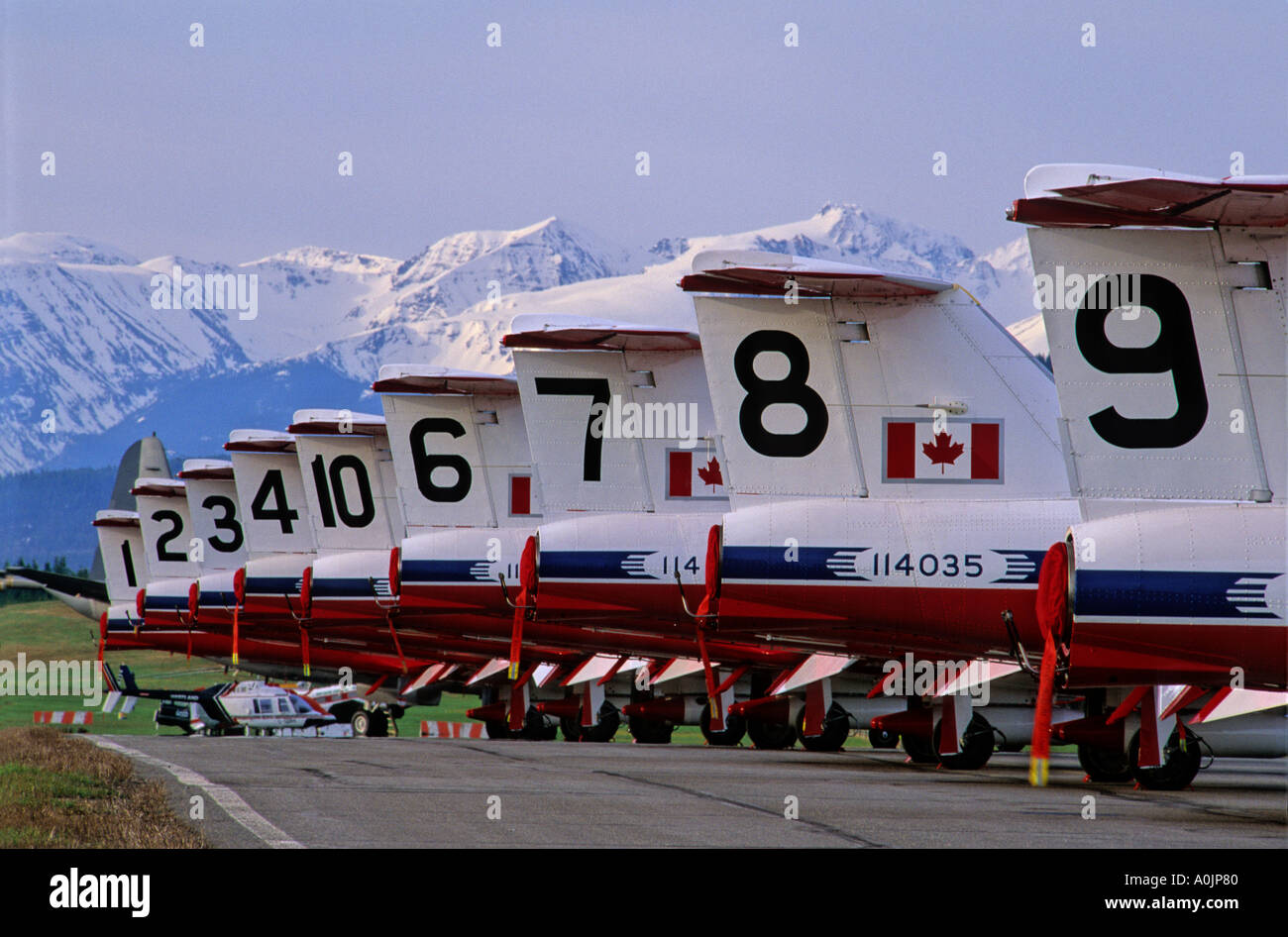 Snowbirds 7 Banque D'Images