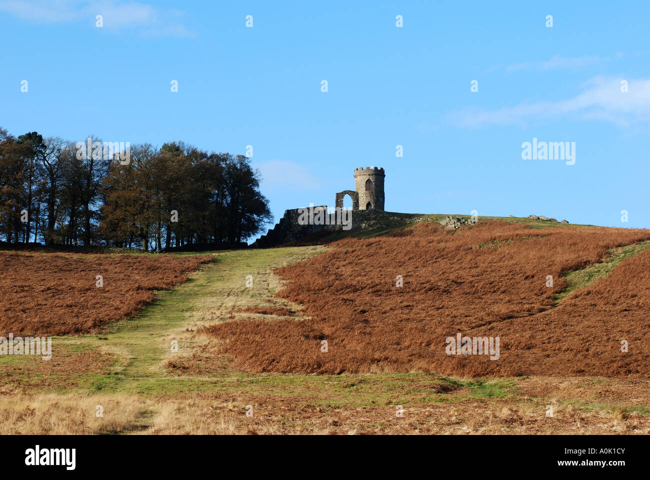 Vue vers le vieux John Tower en automne, Bradgate Park, Leicestershire, England, UK Banque D'Images