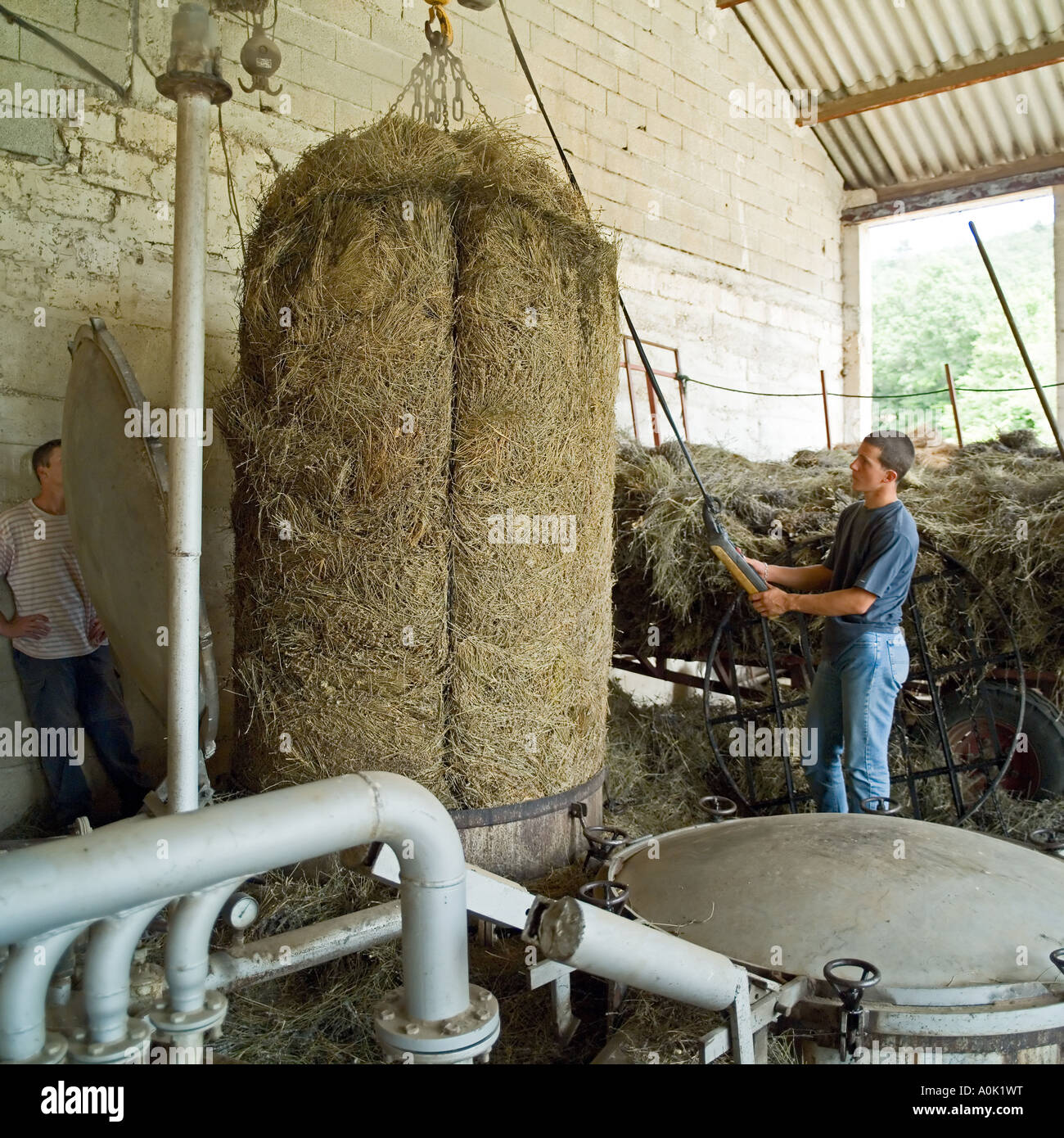 Les travailleurs qui sortent des restes de lavande de la chaudière, de la distillerie du Vallon, de la distillerie d'huile de lavande, Sault, Vaucluse, Provence, France, Europe Banque D'Images