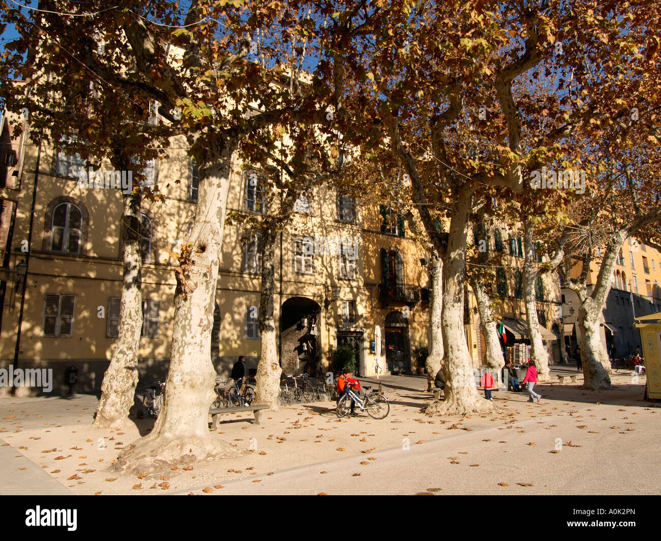 Piazza Napoleone à Lucques Toscane Italie soeur de Napoléon régnait sur Lucques de 1805 à 1815 Banque D'Images