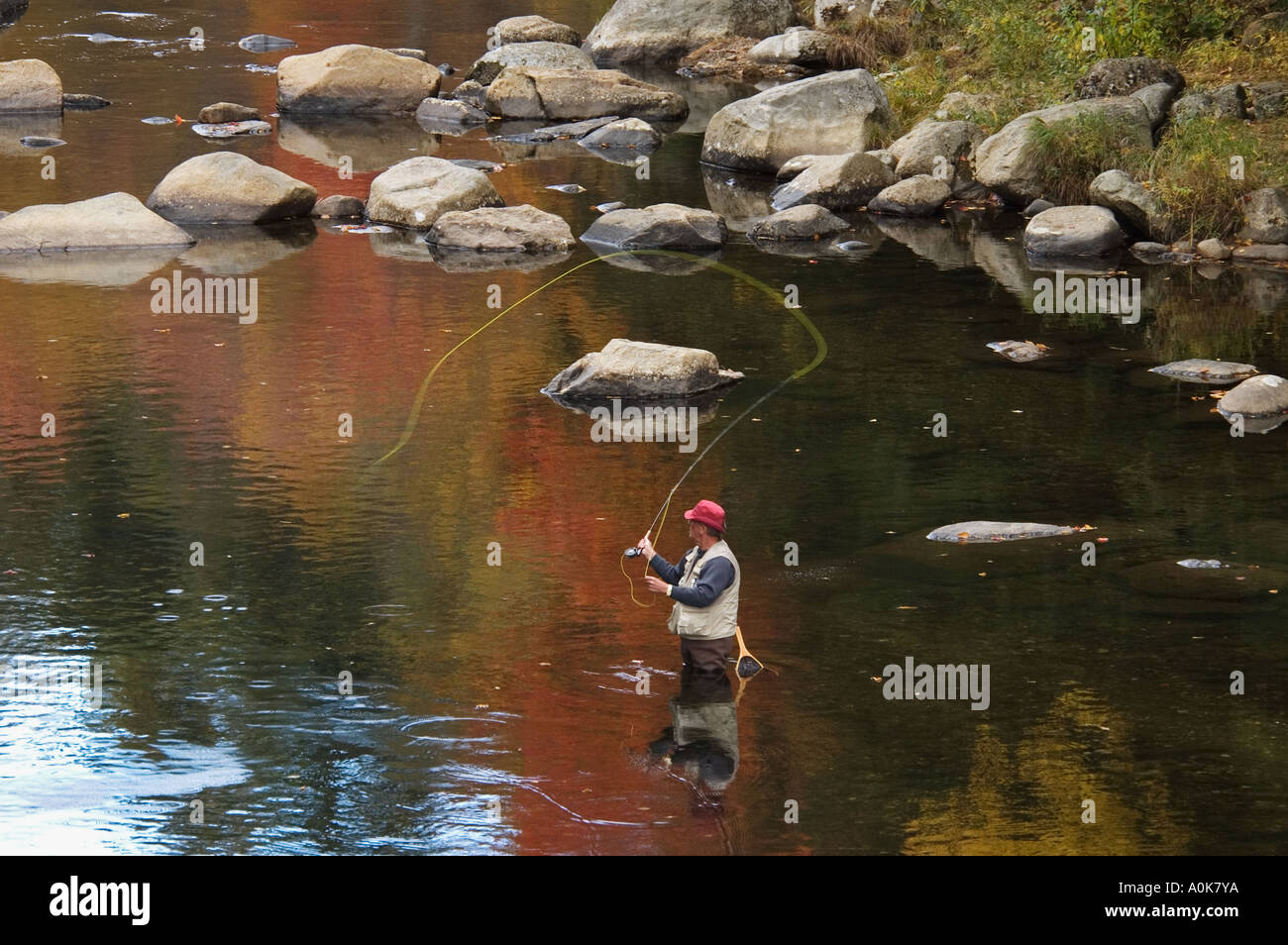 La pêche à la mouche sur la rivière Ellis près de Jackson dans le New Hampshire Banque D'Images