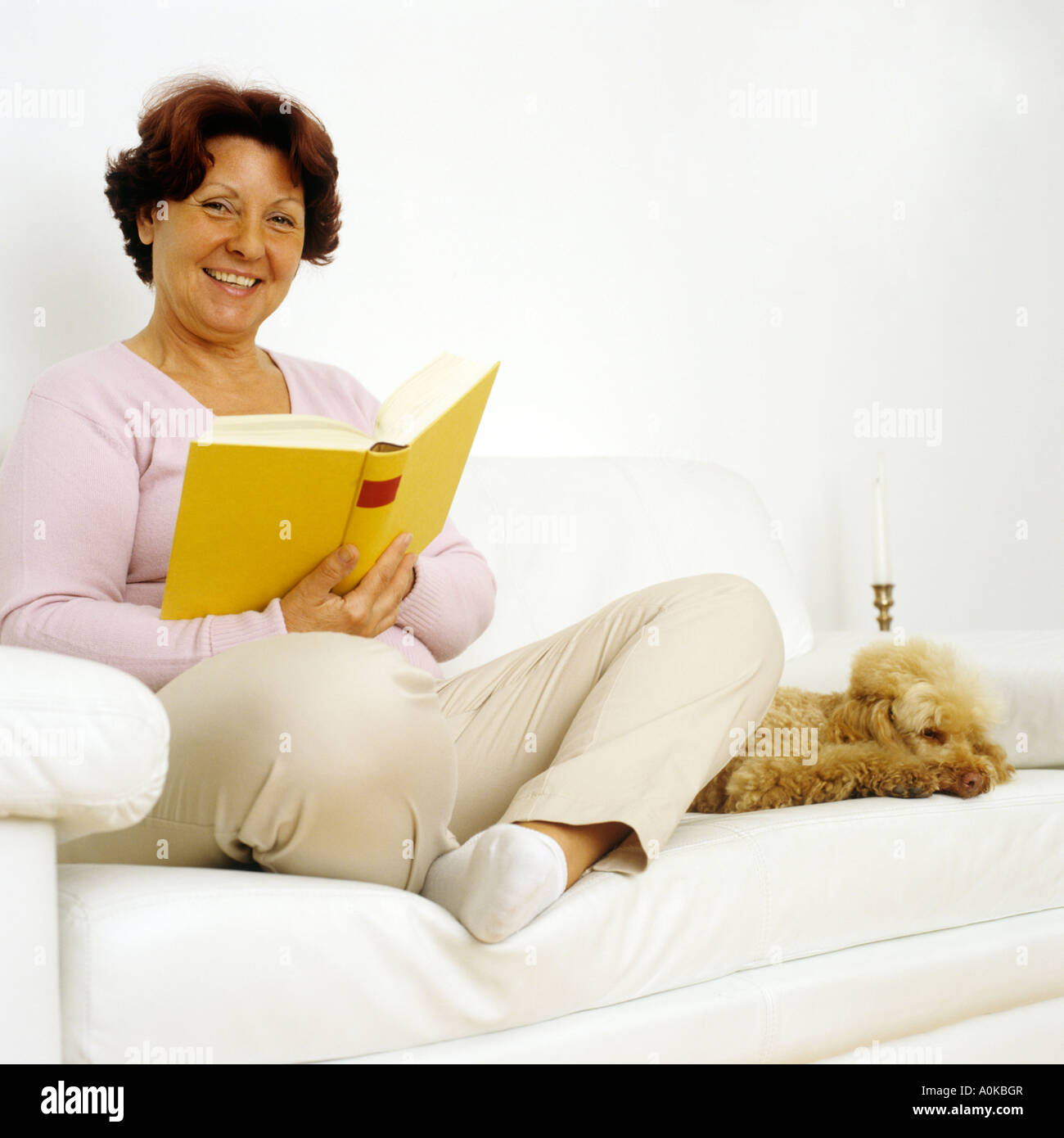 Mature Woman sitting on sofa reading avec chien à côté d'elle Banque D'Images