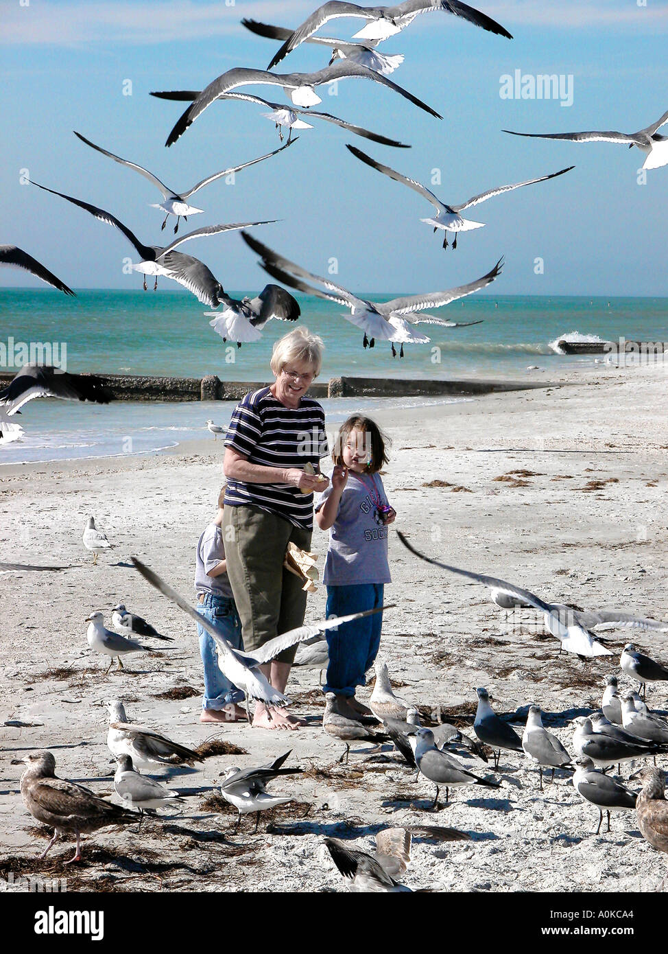 Grand-mère et enfants Nourrir les goélands sur Naples Florida Beach Banque D'Images