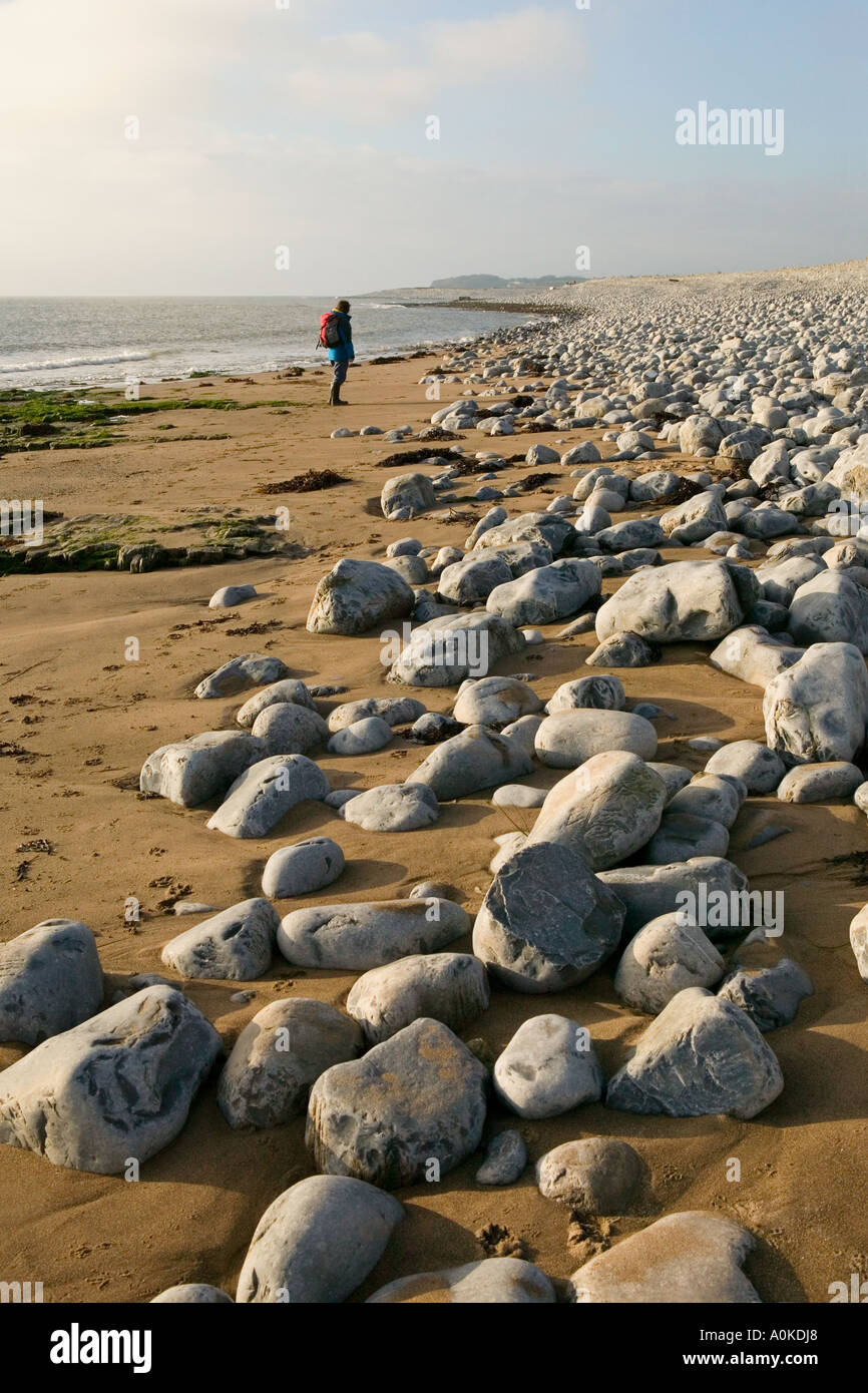 Femme walking on beach Limpert Bay Wales UK Banque D'Images