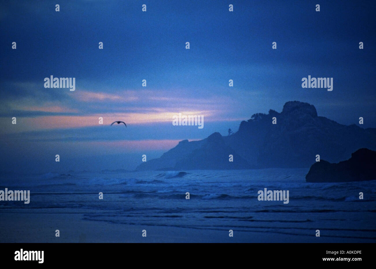 Plage avec vol de mouettes à la tombée de la côte de l'Oregon au sud de Coos Bay USA Banque D'Images