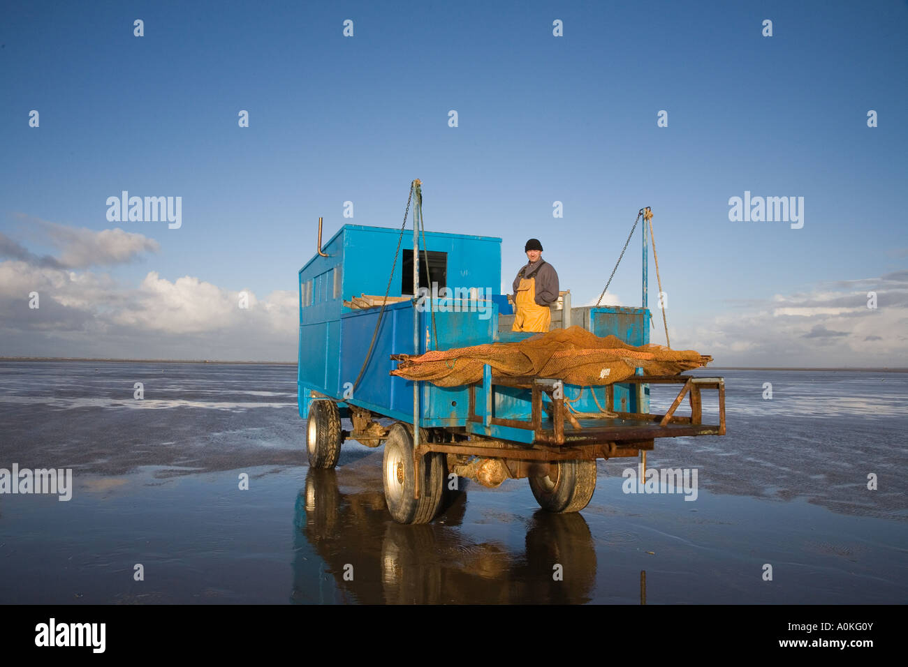 Les fruits de mer commercial de l'industrie de la pêche de crevettes à l'aide de véhicule tracteur modifié à Southport, Merseyside uk Banque D'Images