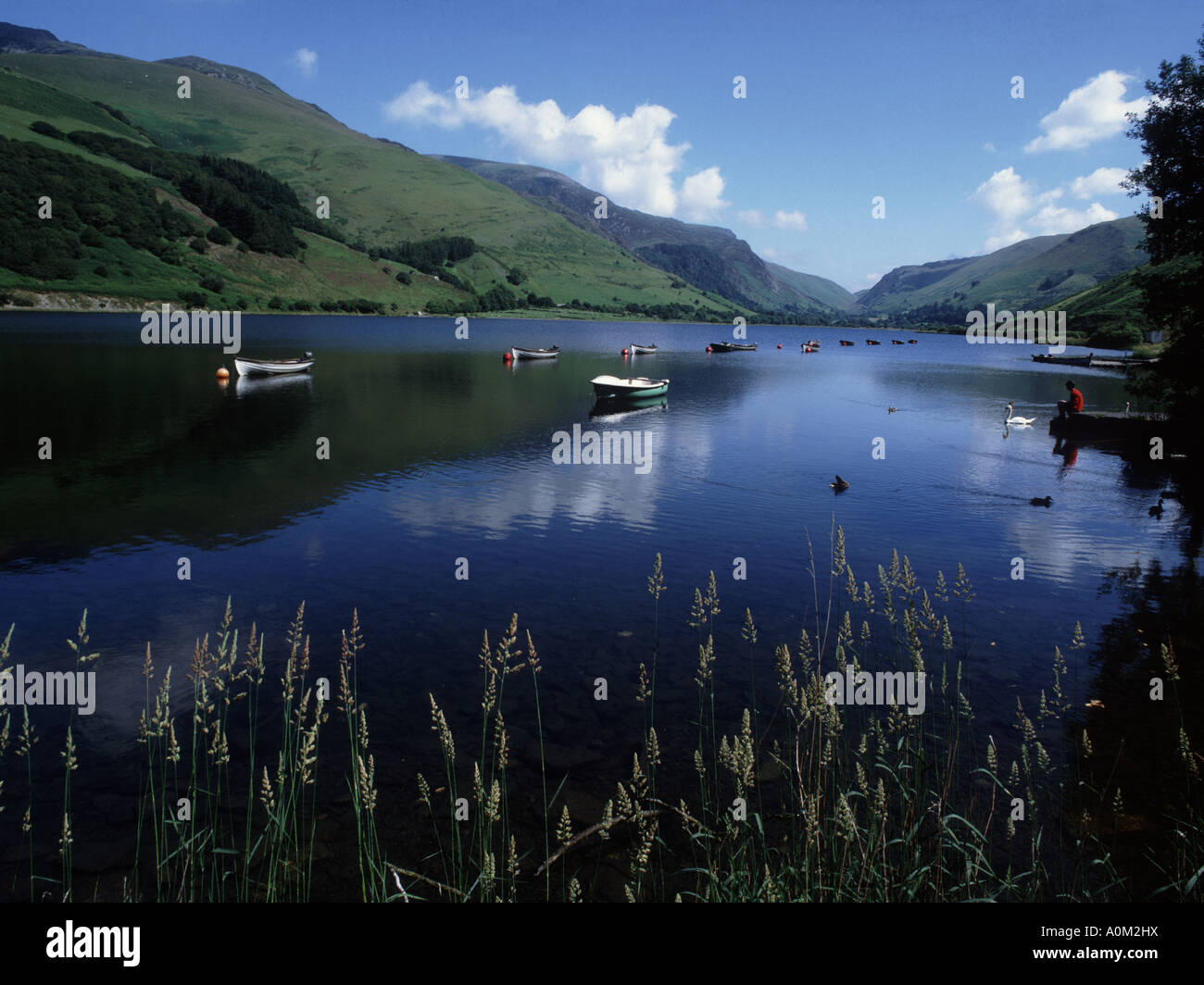 Bateaux de pêche sur le magnifique lac de Tal y Llyn près de Snowdonia, au printemps Banque D'Images