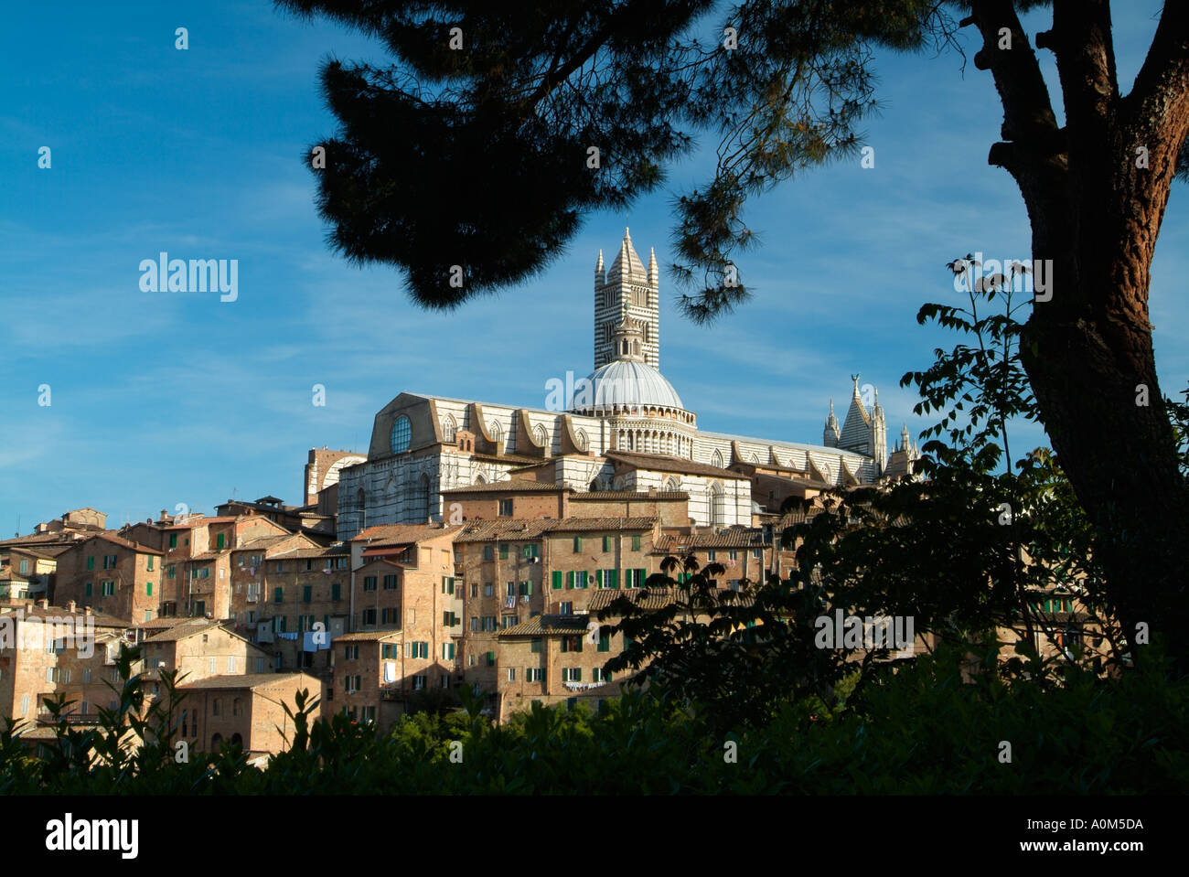 Vue depuis San Domenico à vers le Duomo Sienne Toscane Italie Banque D'Images