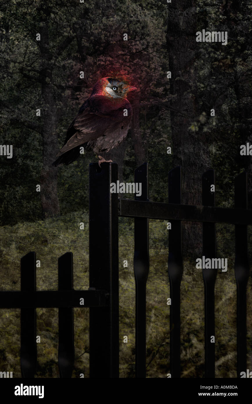 Une illustration d'un oiseau de mauvais augure sur une clôture Banque D'Images