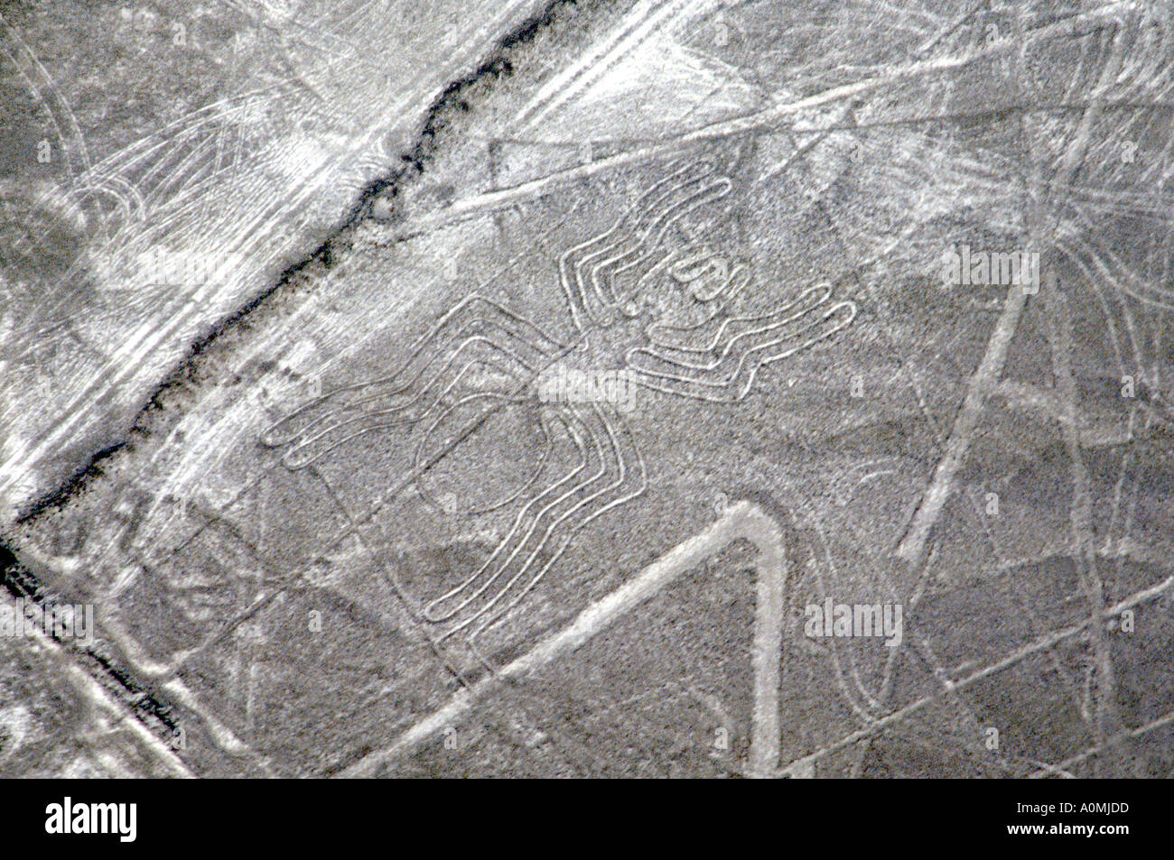 Spider, Nazca Lines, Nazca, Pérou, Amérique du Sud Banque D'Images