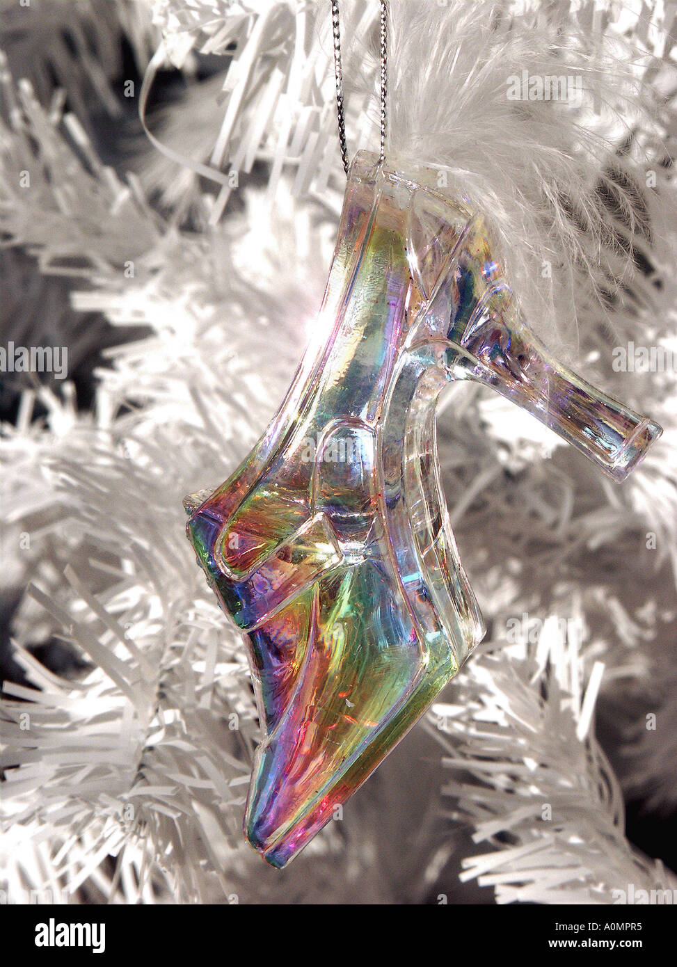 chaussure avec plume