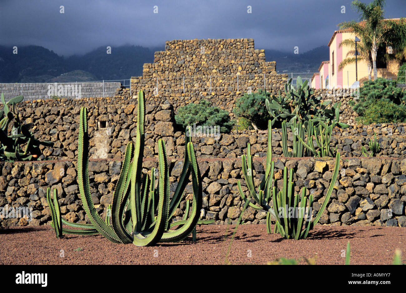 Le Parc Ethnographique Güimar pyramides en Tenerife Espagne Banque D'Images