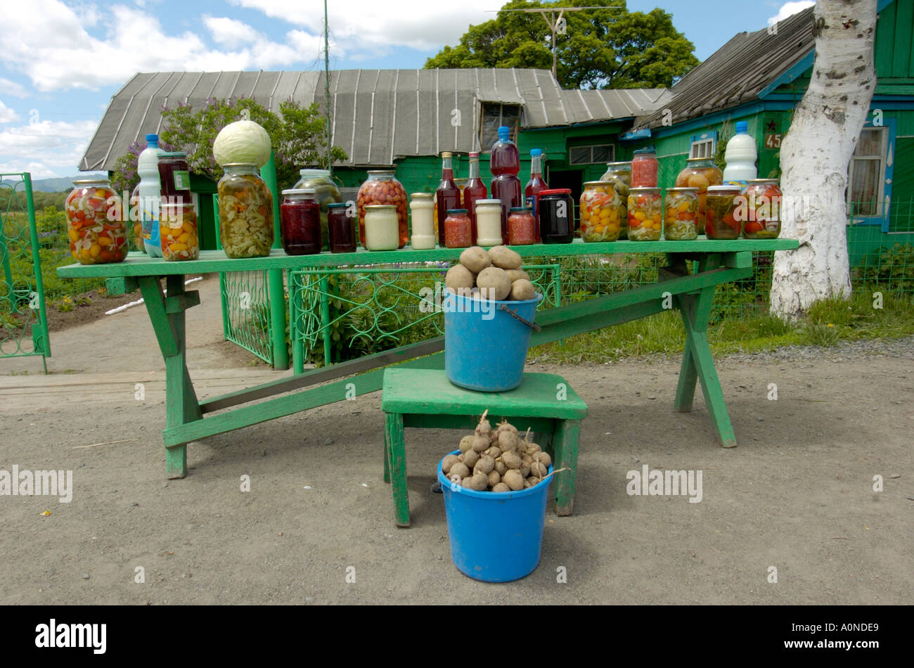 Les légumes frais et les produits du jardin à la vente à un décrochage en bordure de Yuzhno Sakhalinsk île Sakhaline 2004 Banque D'Images