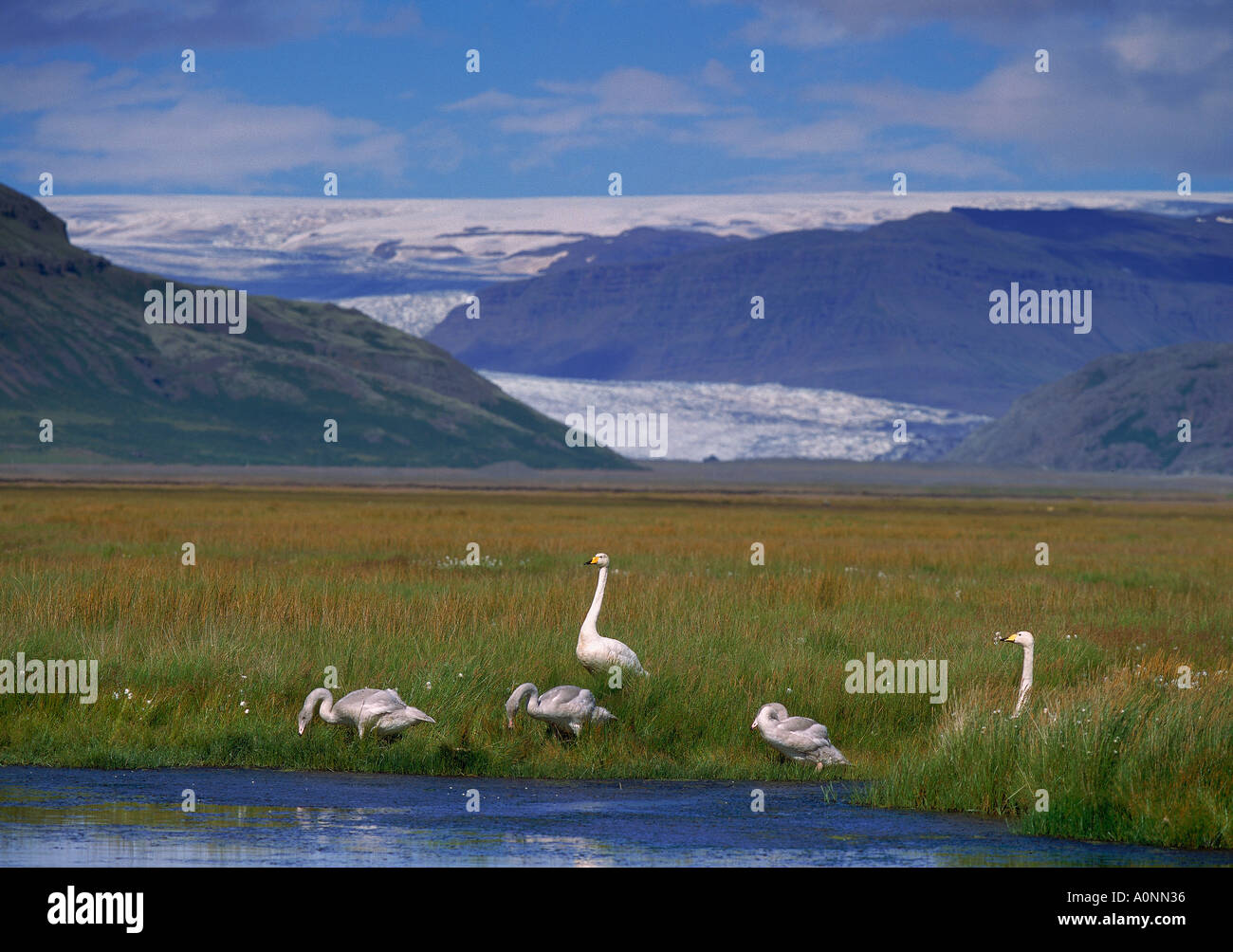 L'Est de l'Islande Glacier Hoffellsjokull Banque D'Images