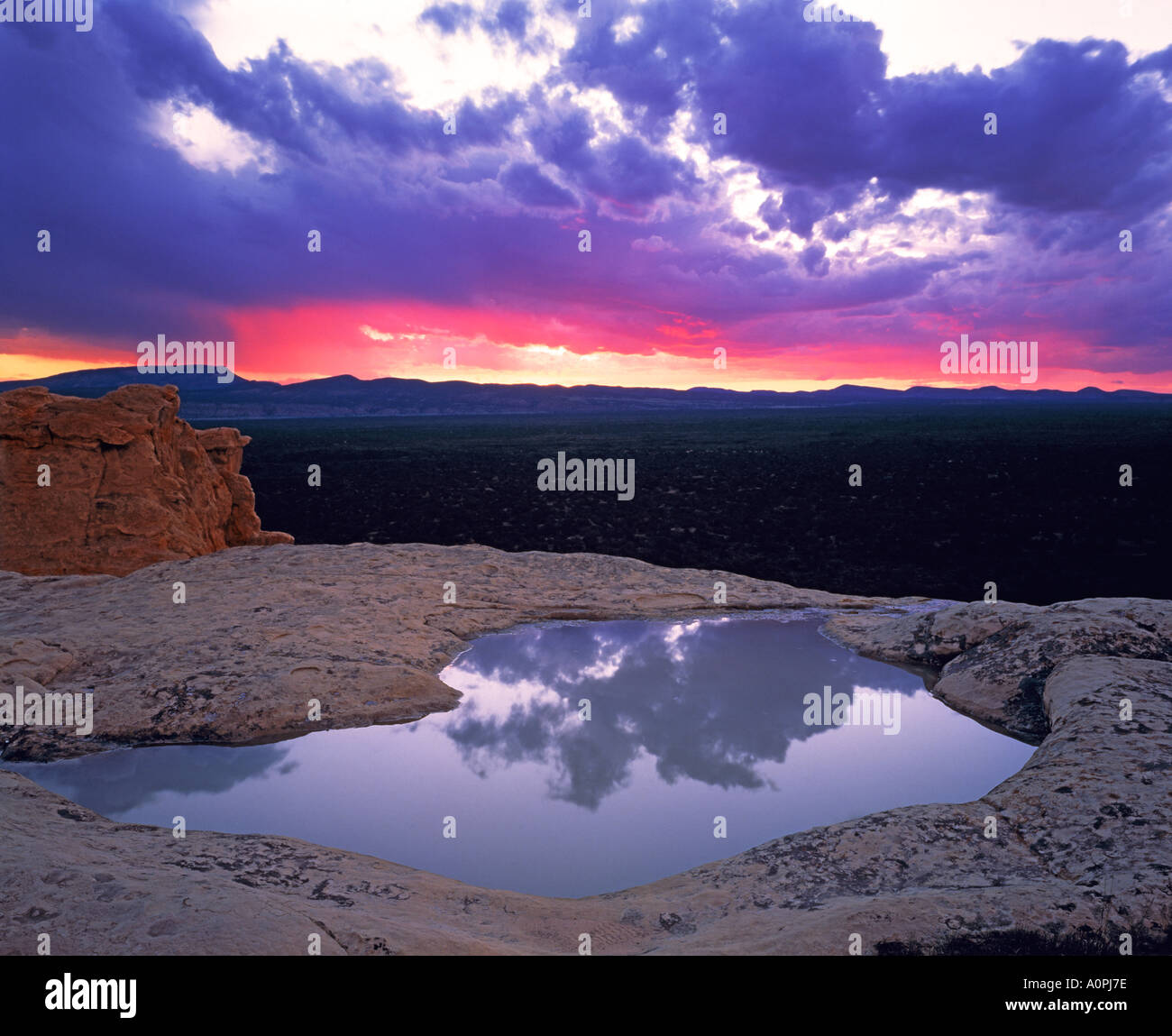 Piscine d'eau de pluie reflet El Malpais National Monument Nouveau Mexique Banque D'Images
