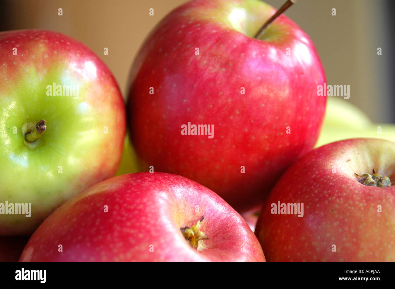 Pommes Banque D'Images