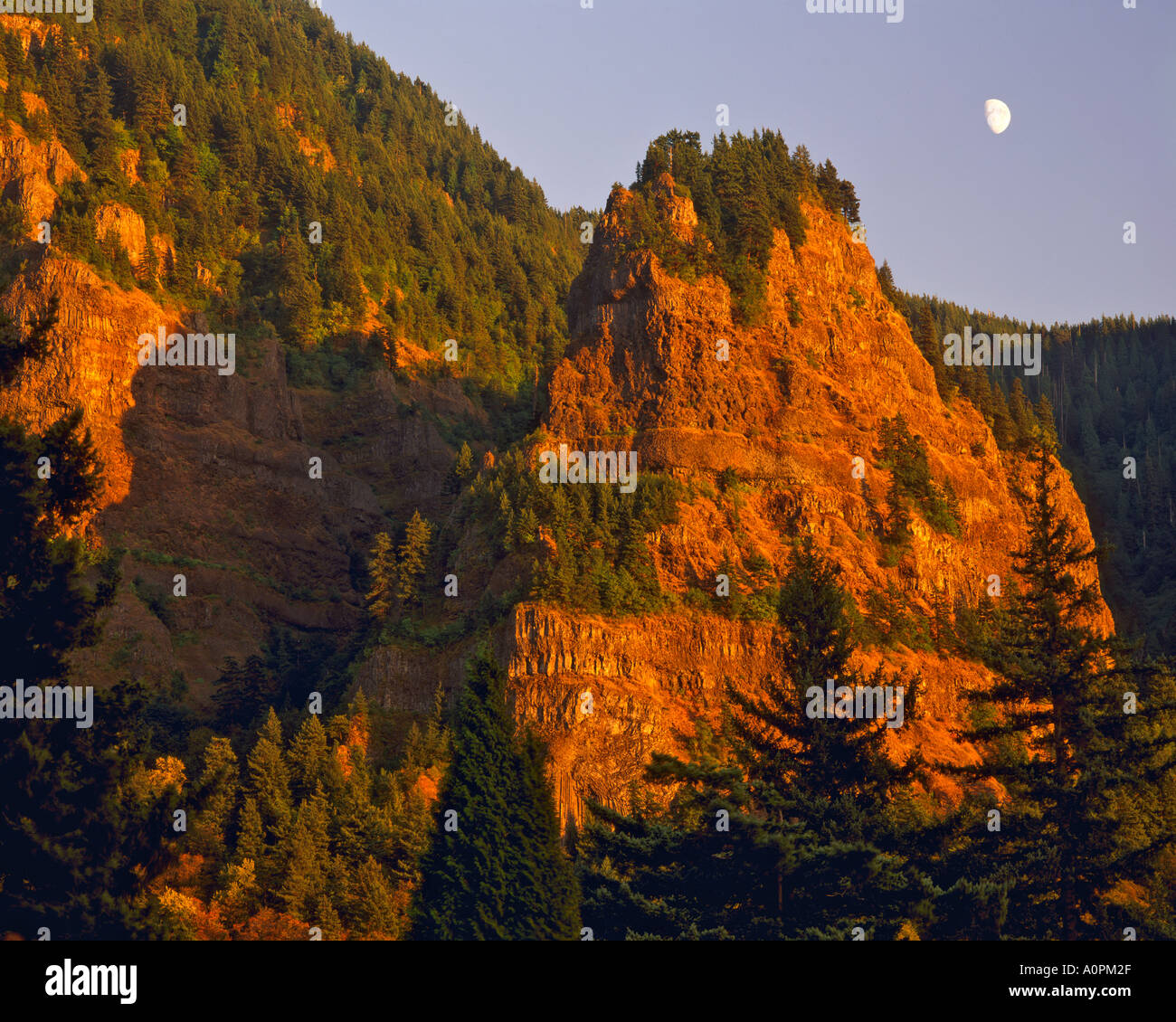 Lever de la gorge Columbia River Gorge National Scenic Area Mount Hood National Forest Oregon Banque D'Images