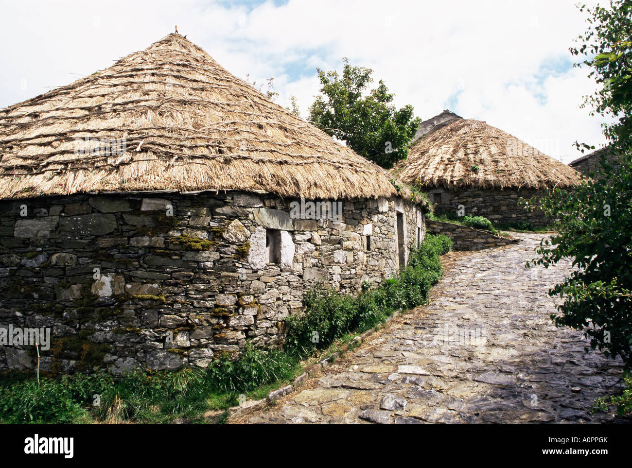 Chaume pallozas arrondis d'origine celtique Cebreiro Lugo Galice Espagne Région Europe Banque D'Images