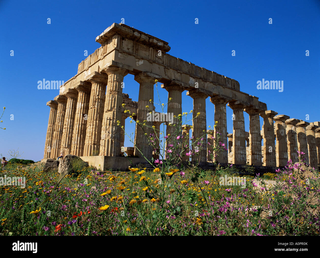 E Temple datant de 5ème siècle avant J.-C. près de Selinunte Sicile Italie Europe Castelventrano Banque D'Images