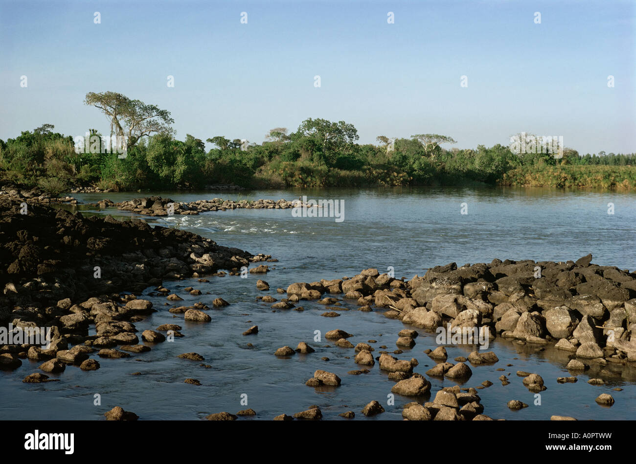 Le Nil Bleu qui sort du lac Tana Bahardar Afrique Ethiopie Banque D'Images