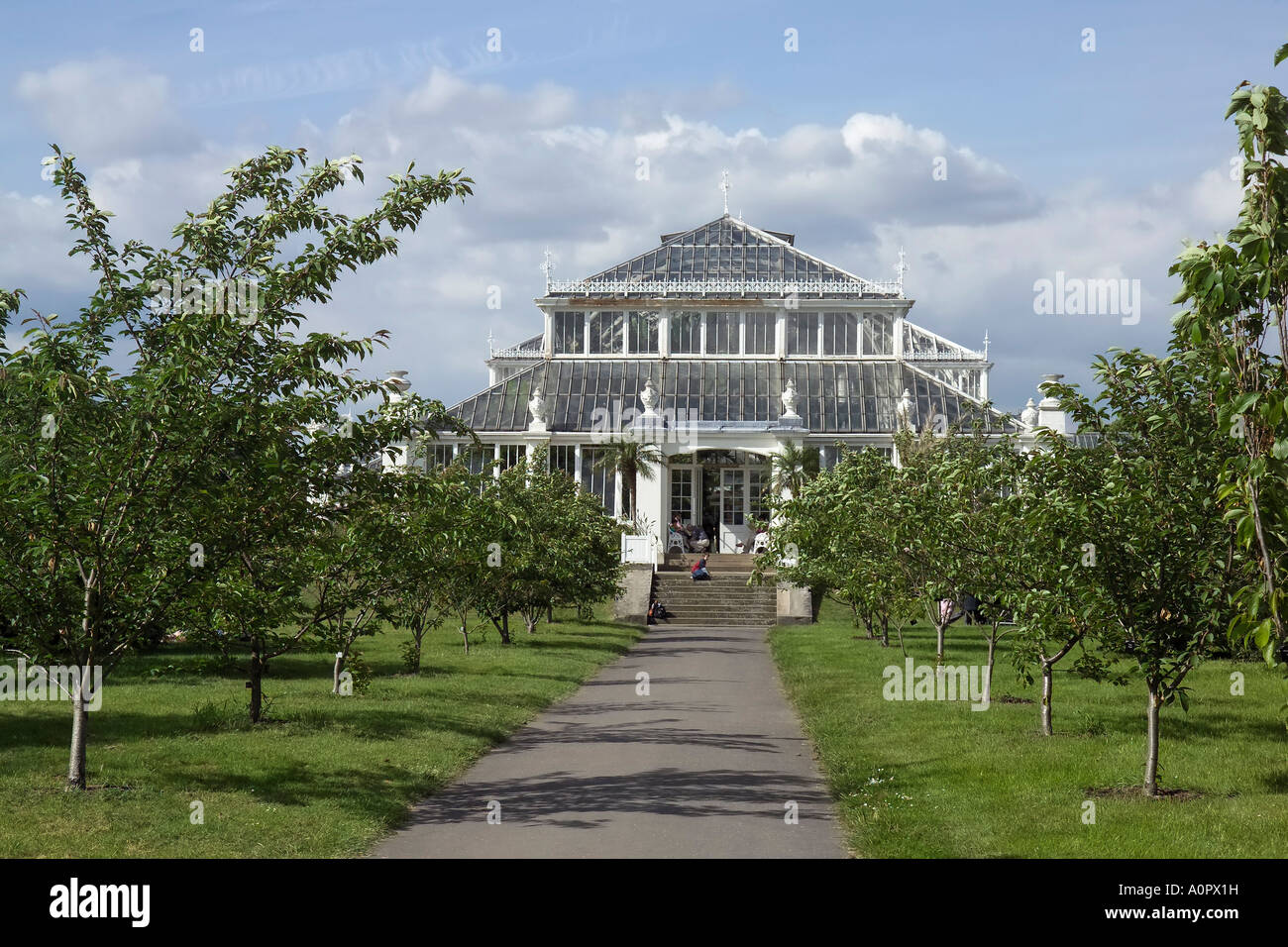 Chambre tempérée Kew Gardens Conservatory Site du patrimoine mondial de l'Europe Royaume-Uni Angleterre Londres Banque D'Images