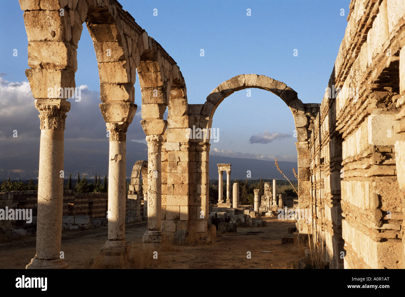 Aanjar reste Omeyyade Bekaa Liban Moyen Orient Banque D'Images