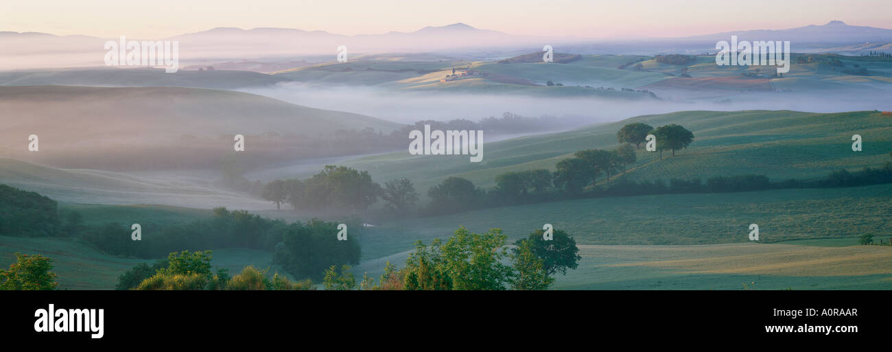 Misty sur Val d Orcia vers le belvédère près de San Quirico d Orcia Toscane Italie Europe Banque D'Images