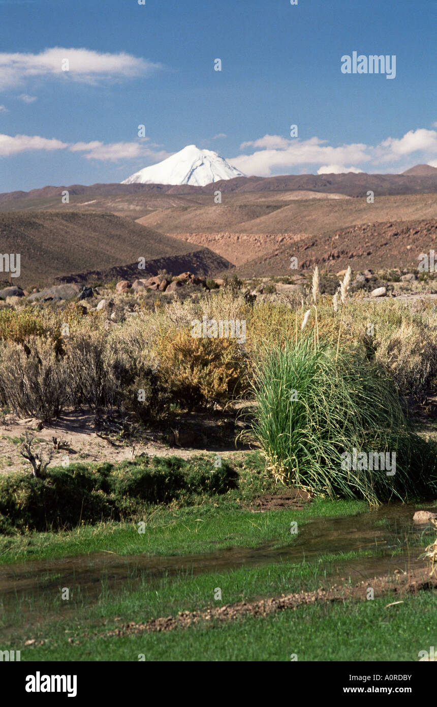 Flux dans le désert d'Atacama avec Volcan Putana horizon sur la région de San Pedro de Atacama Chili Amérique du Sud Banque D'Images