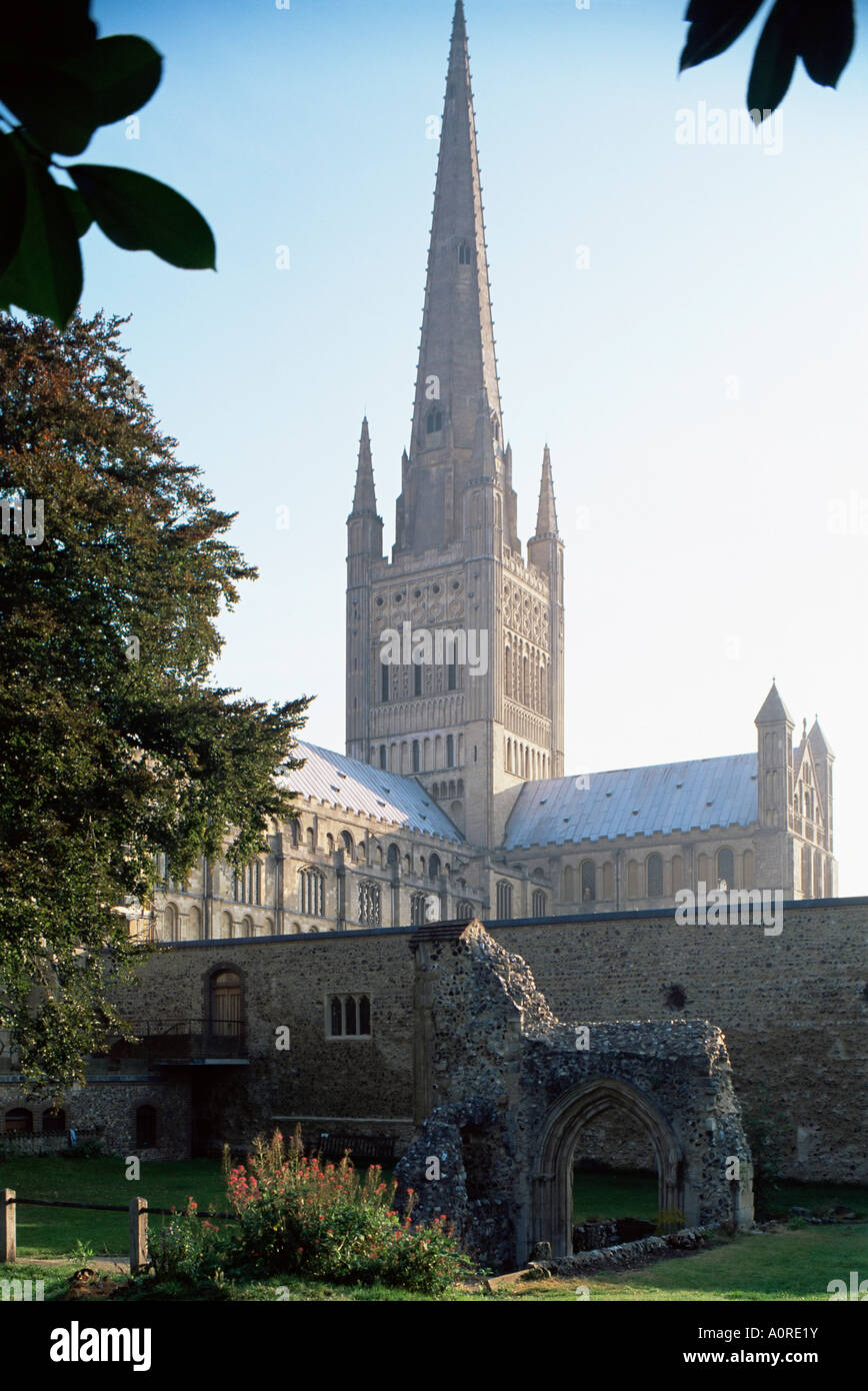 Cathédrale normande datant du 11ème siècle avec clocher du 15e siècle et hostry reste en premier plan Norwich Norfolk Angleterre Banque D'Images