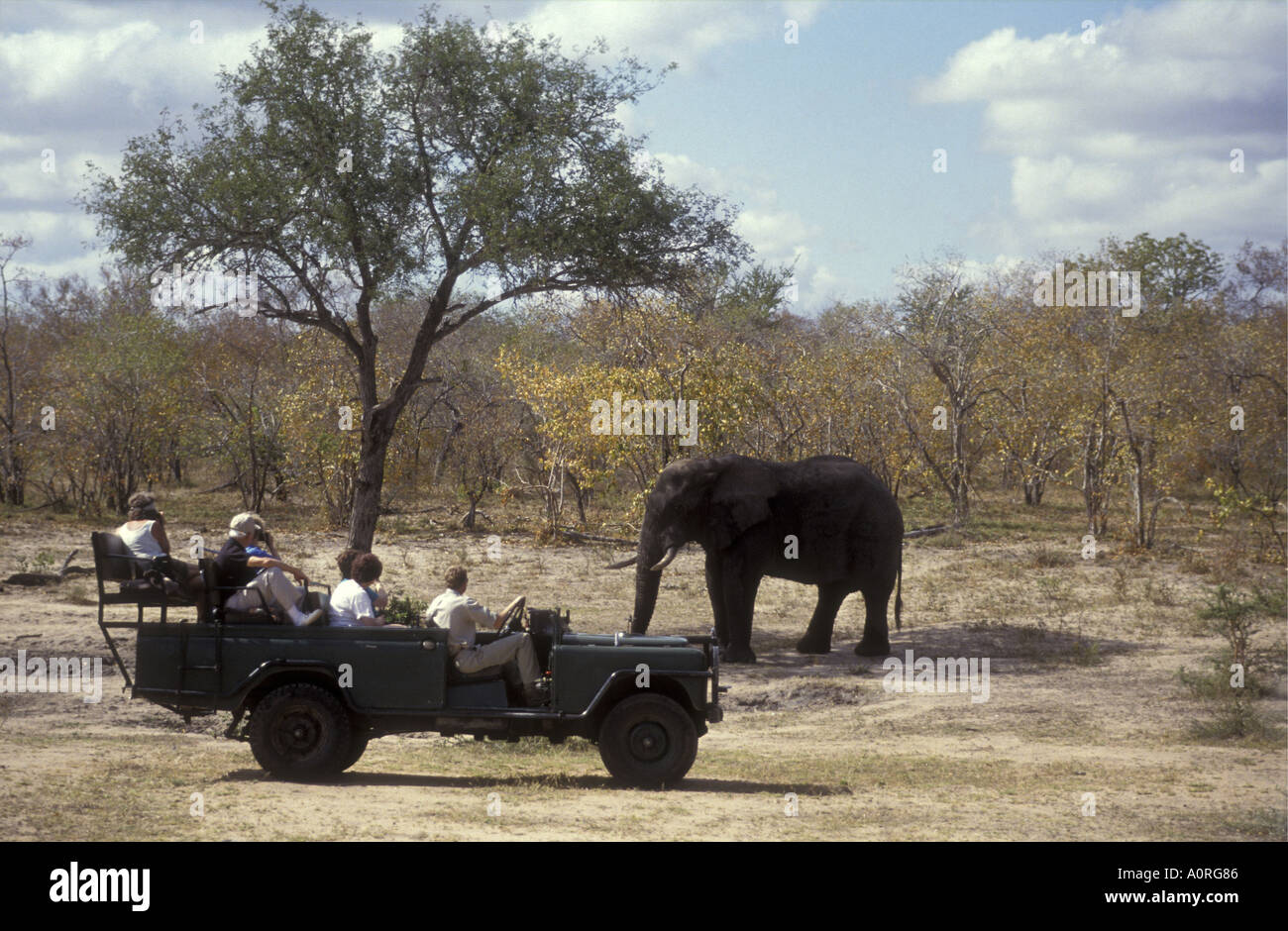Land Rover près de l'éléphant au Londolozi Game Reserve adjacent au Parc National Kruger en Afrique du Sud Banque D'Images
