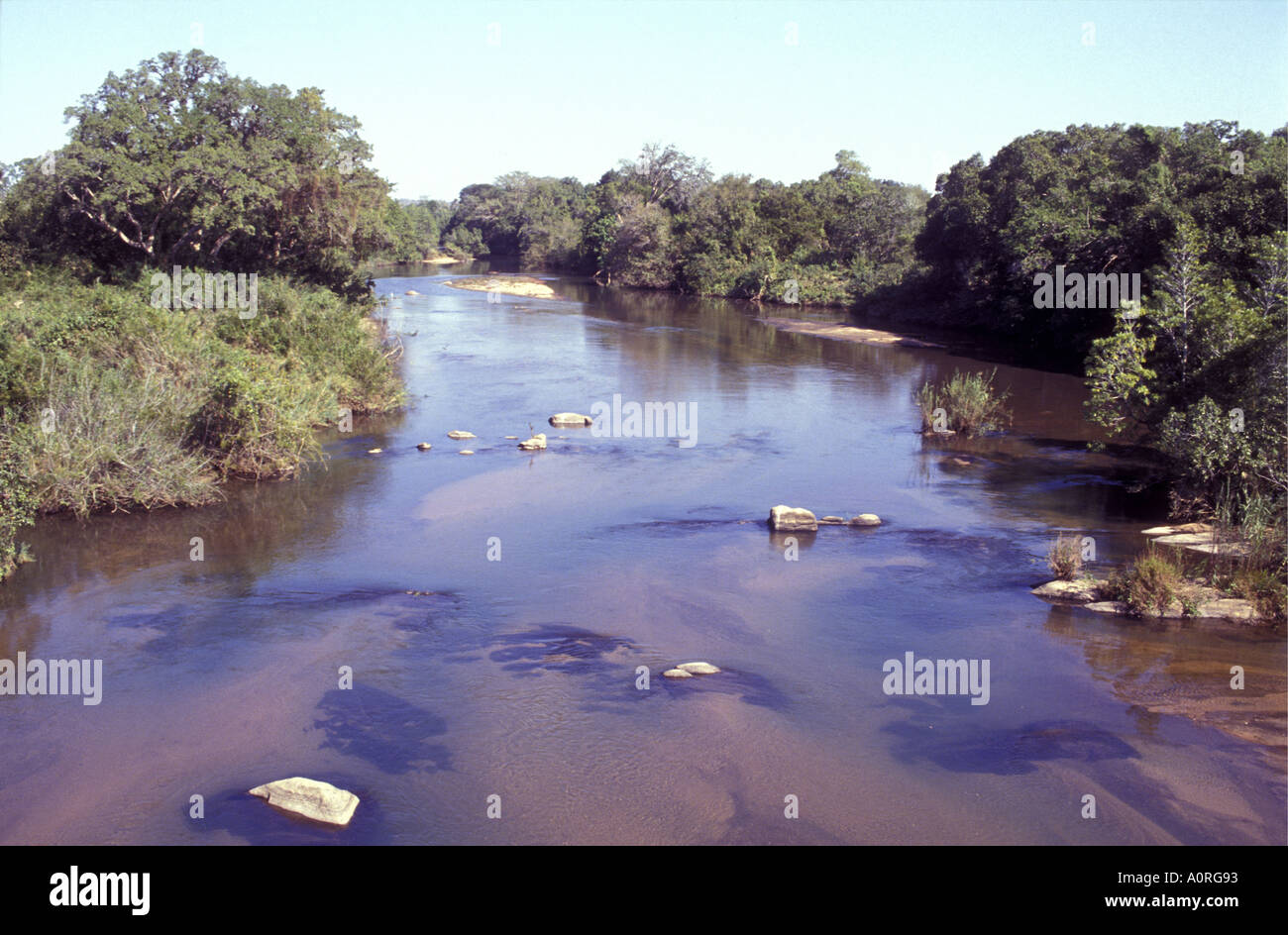 Un ruisseau ou une rivière près de Skukuza Lodge à la frontière du Parc National Kruger en Afrique du Sud Banque D'Images