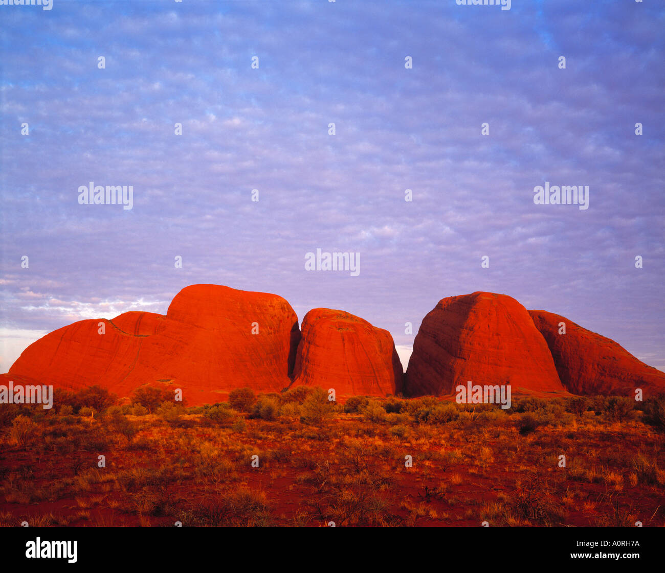 L'Olga montagne au coucher du soleil Parc National d'Uluru en Australie Banque D'Images