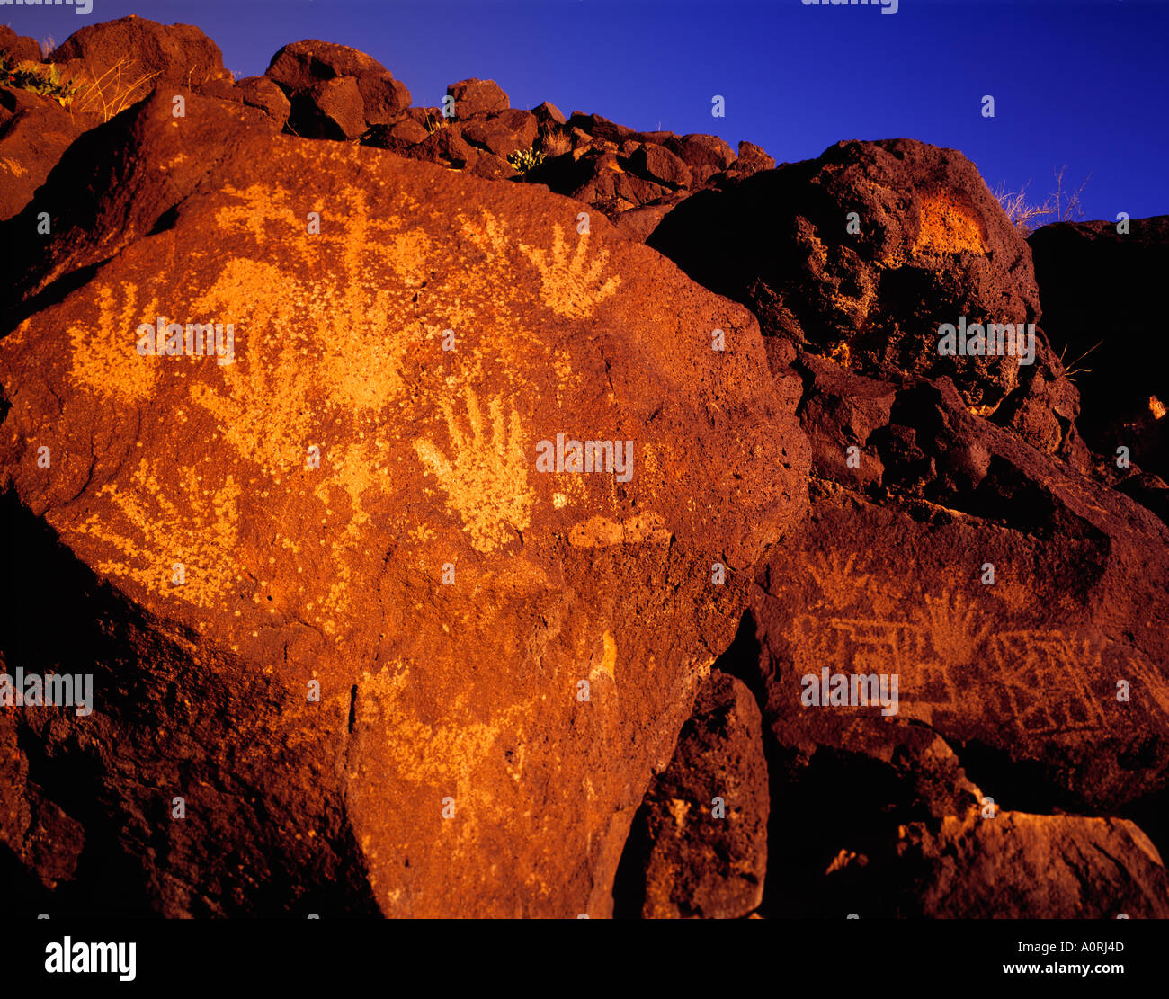 Petroglyphs in aube lumière Petroglyph National Monument Nouveau Mexique Banque D'Images