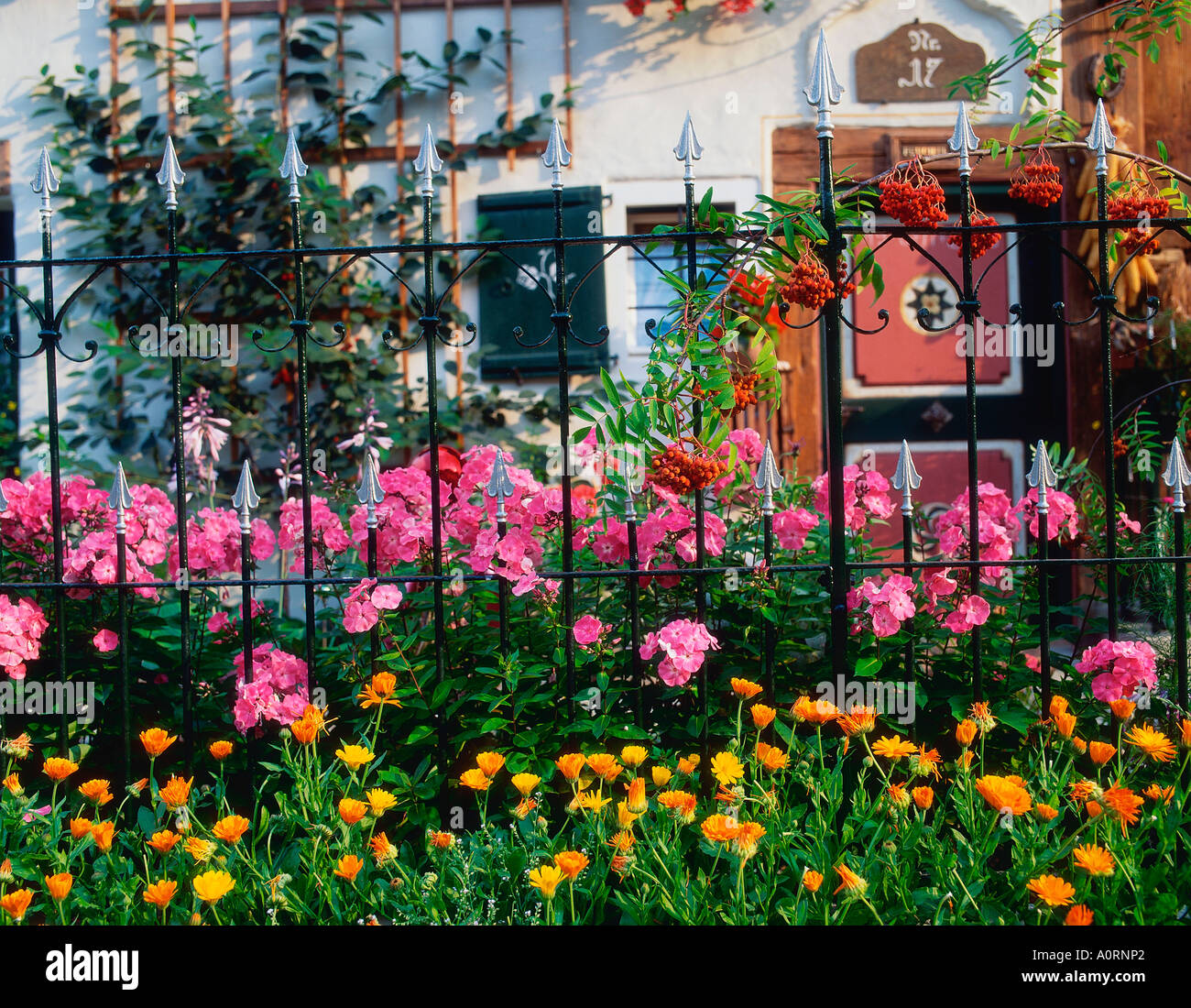 Jardin et clôture Banque D'Images