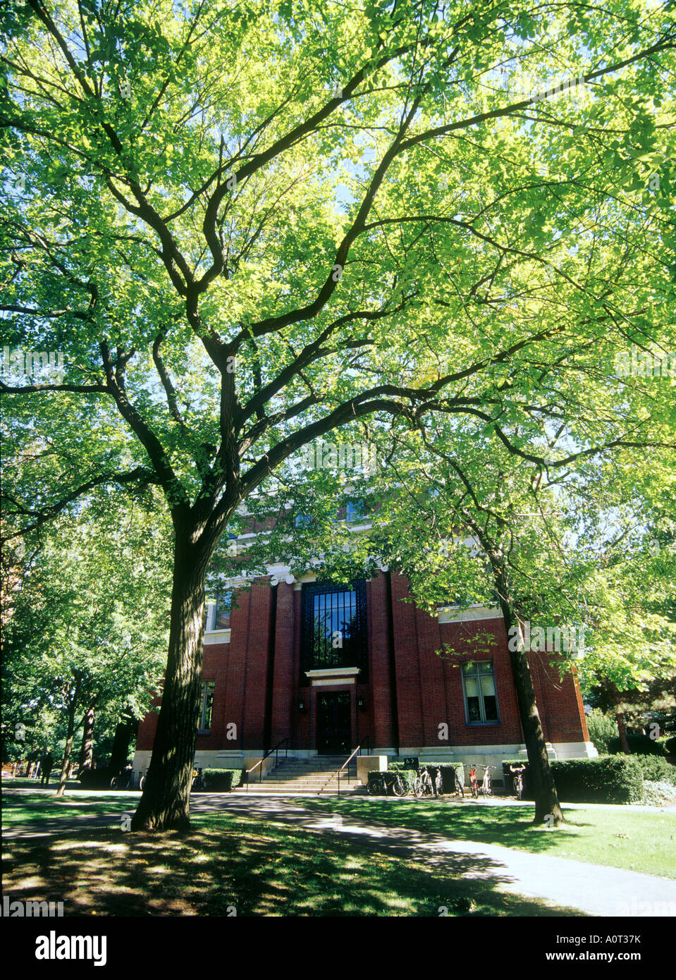 L'Université de Harvard Banque D'Images
