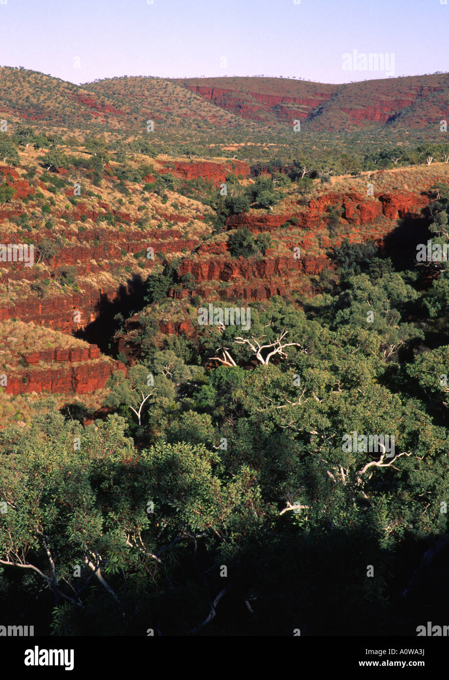 Dales Gorge, parc national de Karijini, Australie Banque D'Images