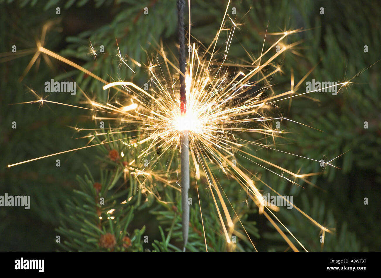 Sparkler on Christmas Tree Banque D'Images