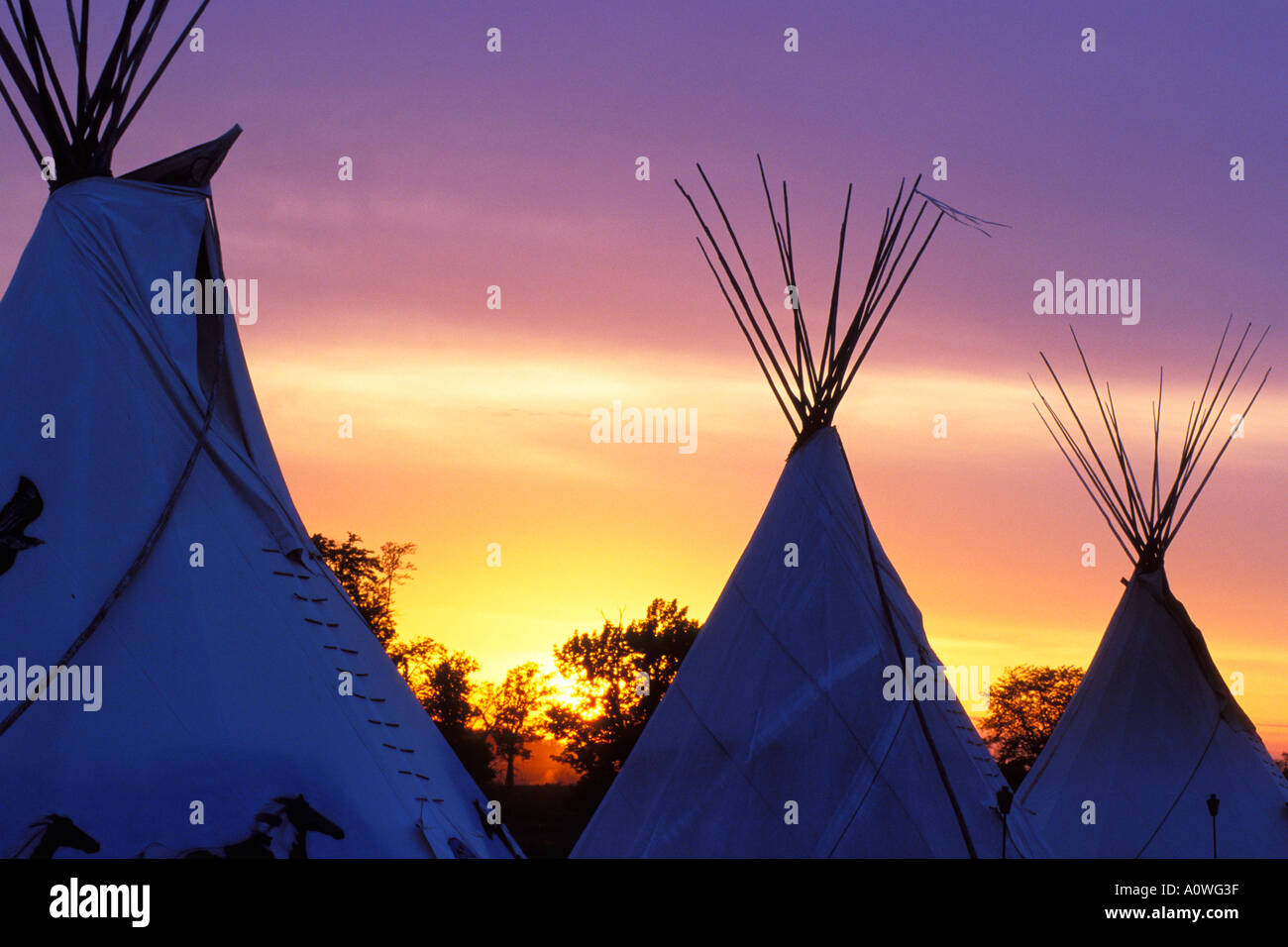 Tipi Amérindien lors d'un Pow-wow en Illinois Banque D'Images